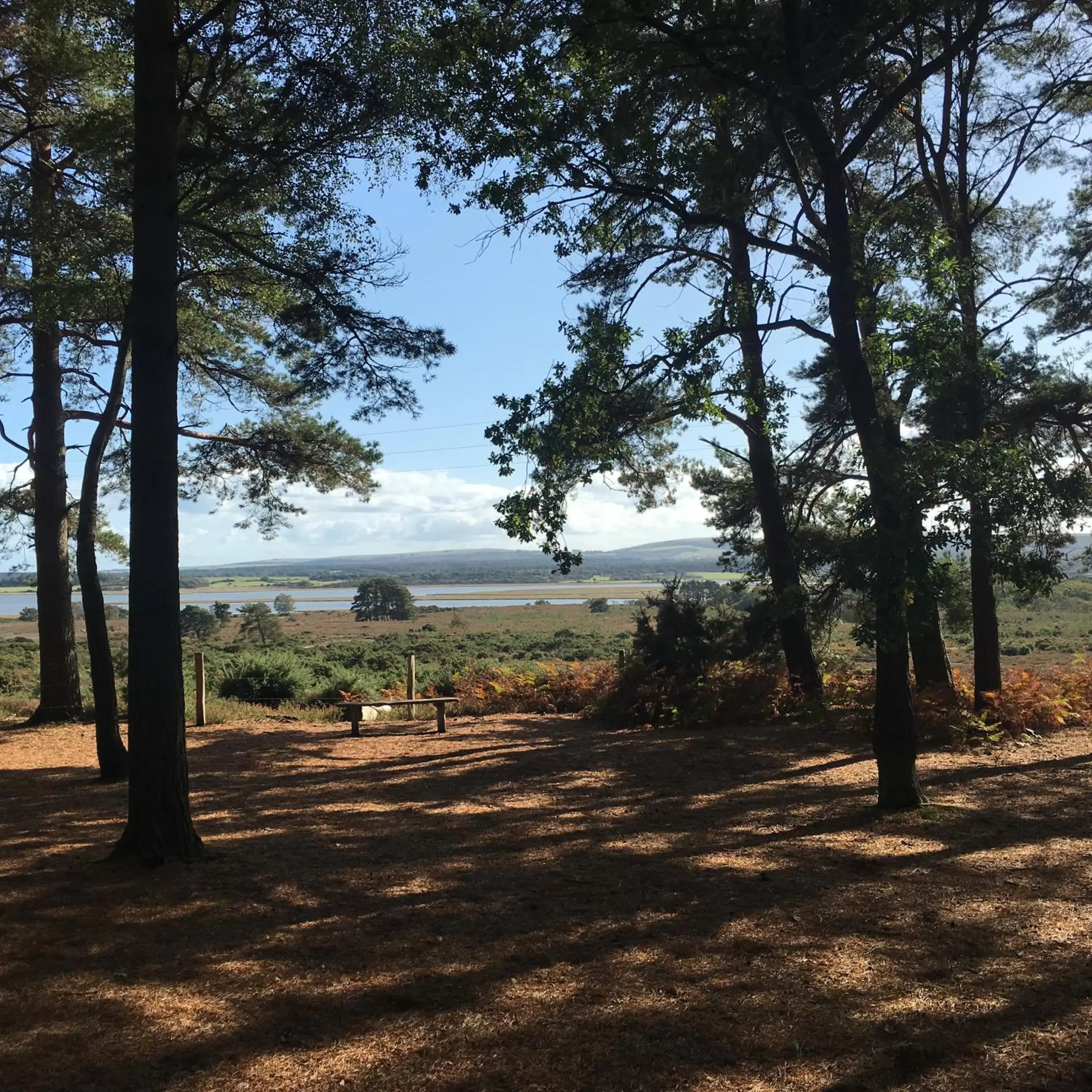 Natural landscape in Spurwing Guest House