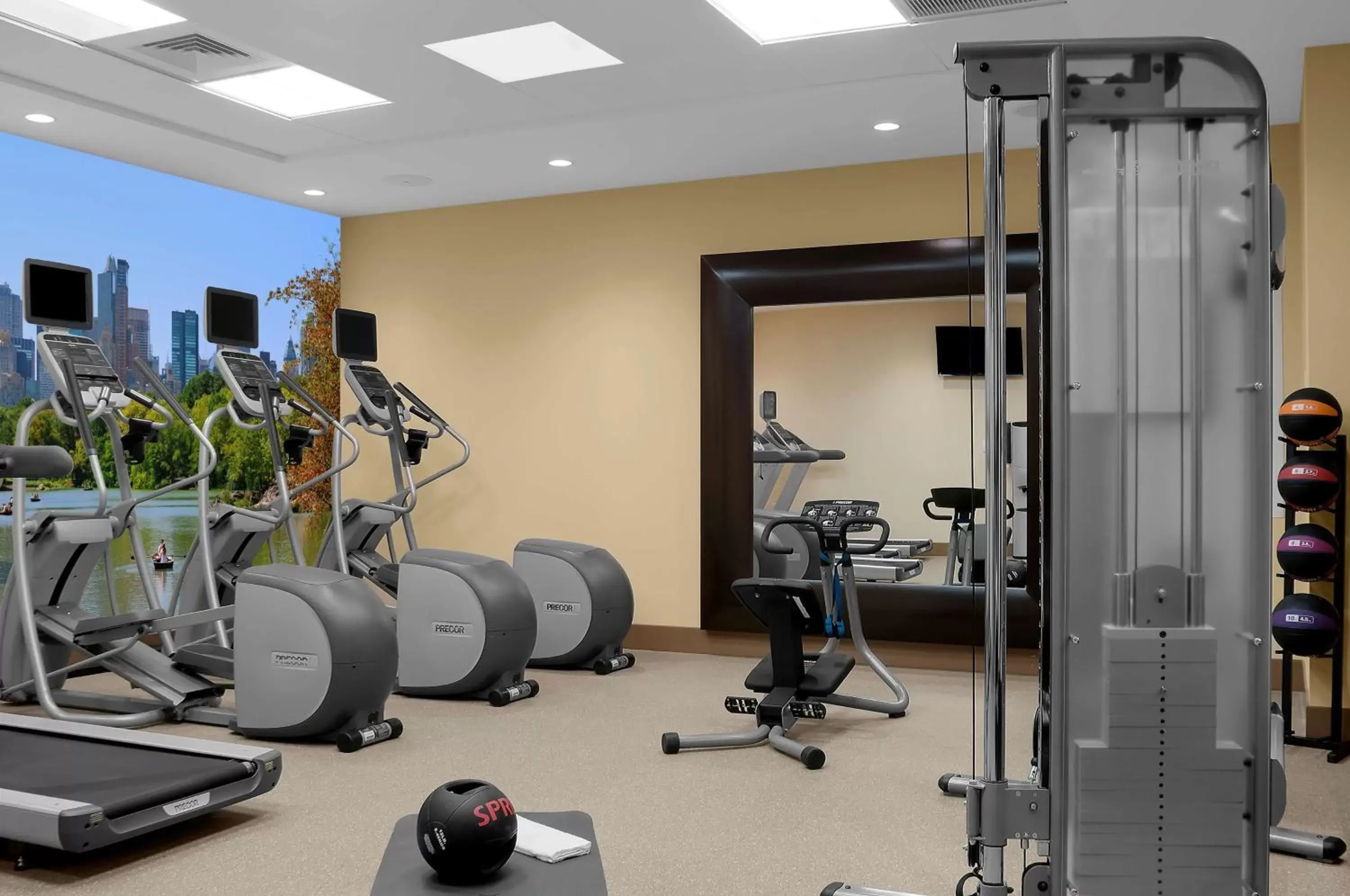 Fitness centre/facilities, Fitness Center/Facilities in Hilton Garden Inn New York - Times Square Central