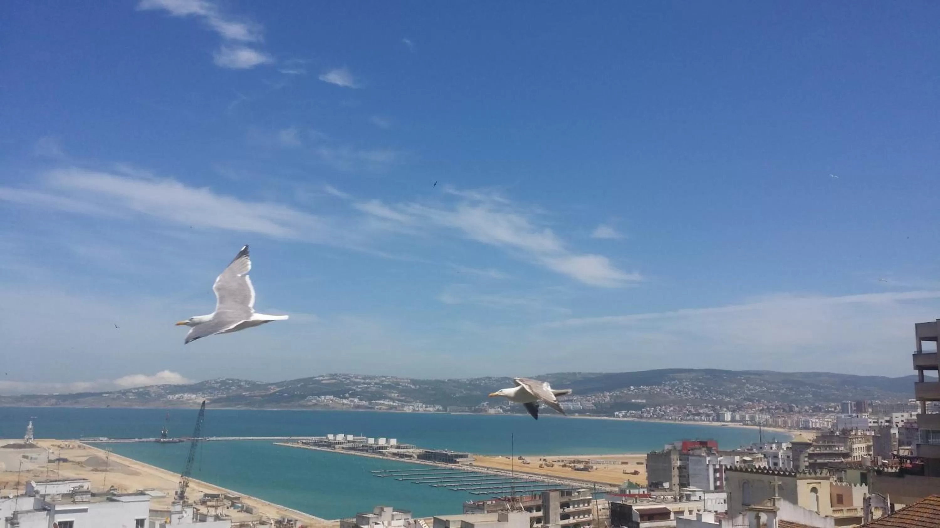 Hotel Le Gardenia (ex Lutetia)