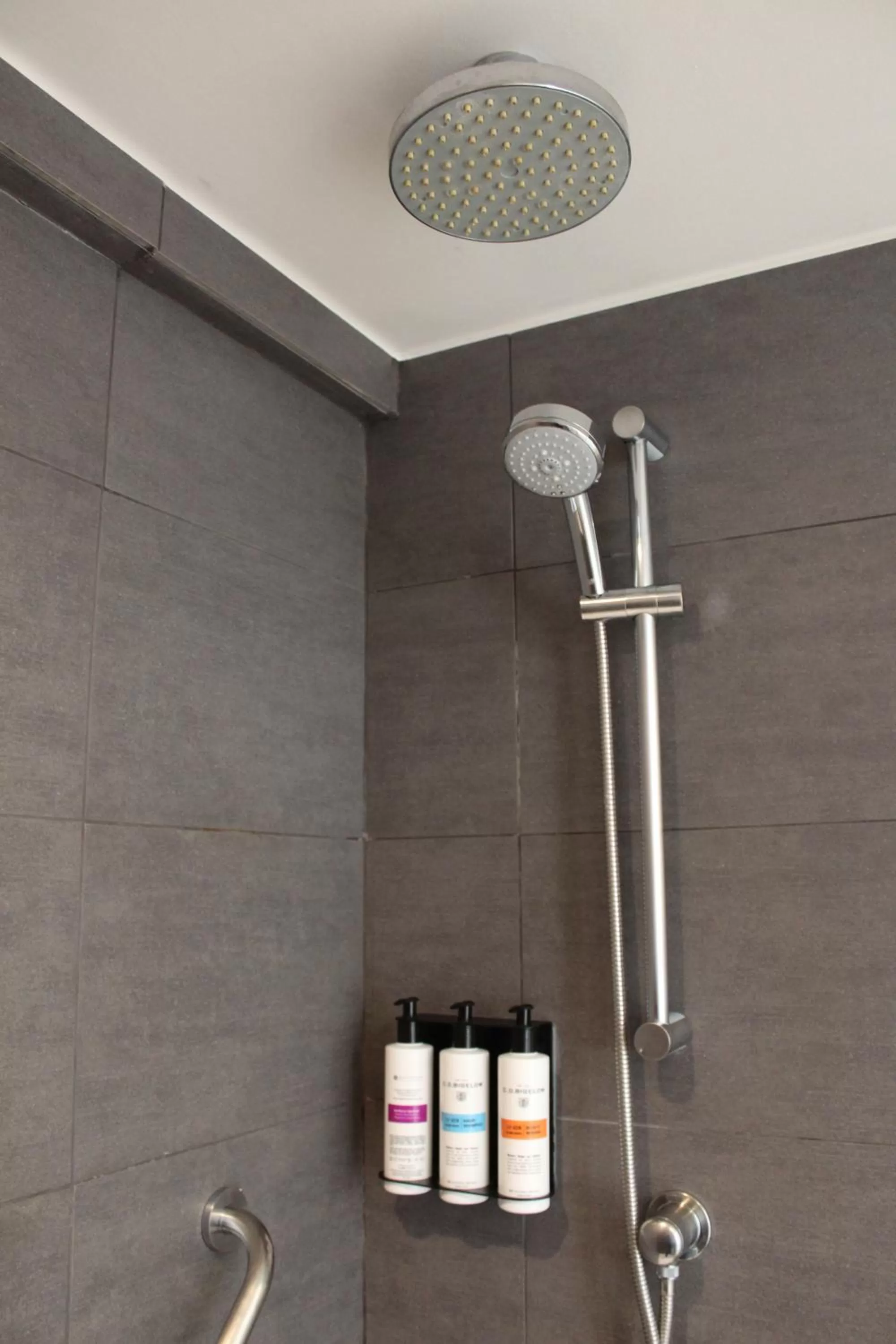 Shower in Pullman Vina del Mar San Martin