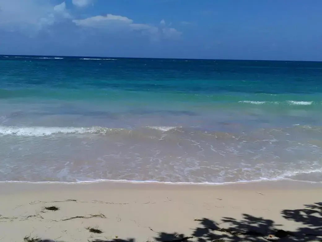 Beach in Port Antonio Brian's Beach House