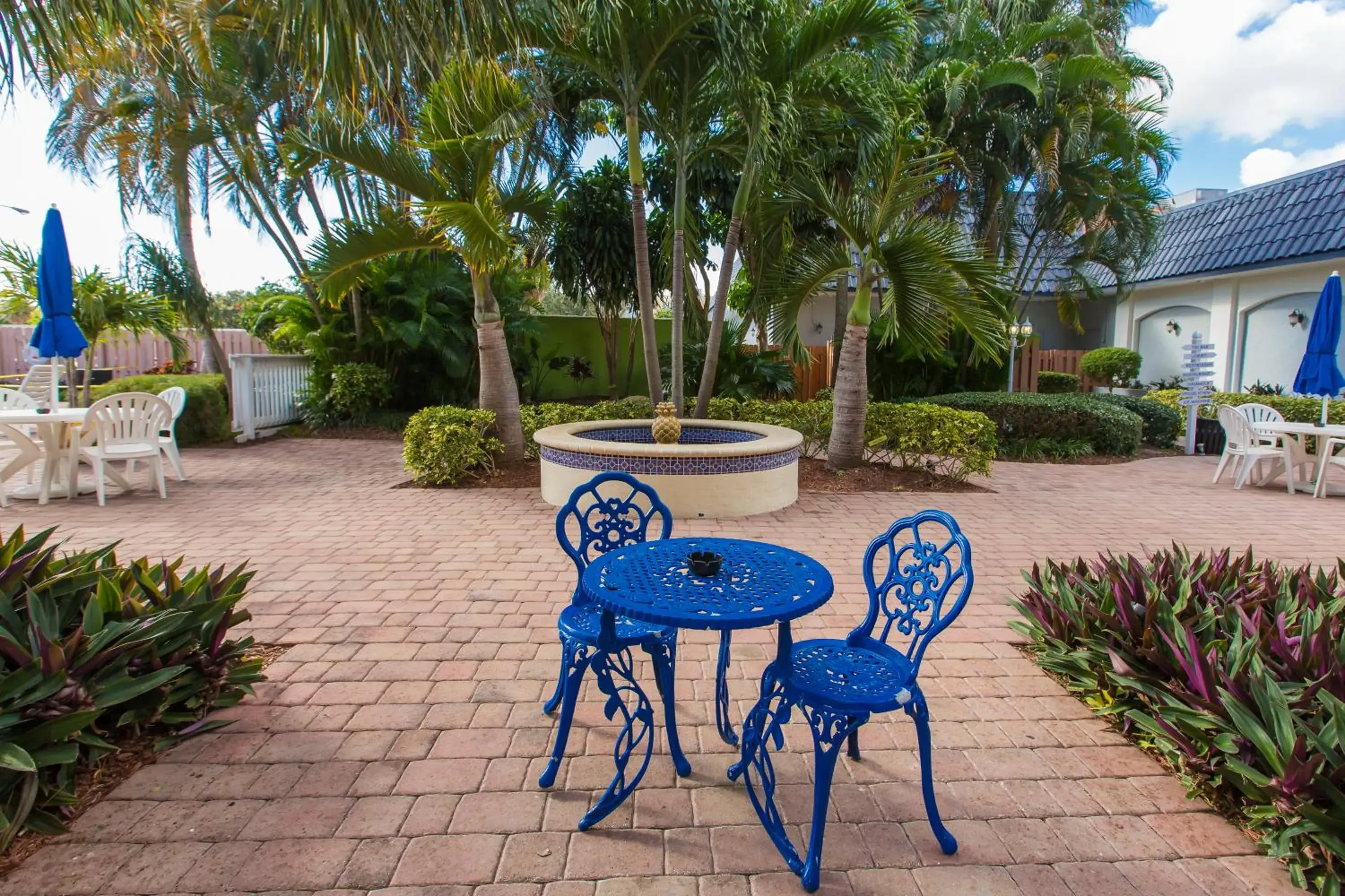 Garden in Plaza Hotel Fort Lauderdale