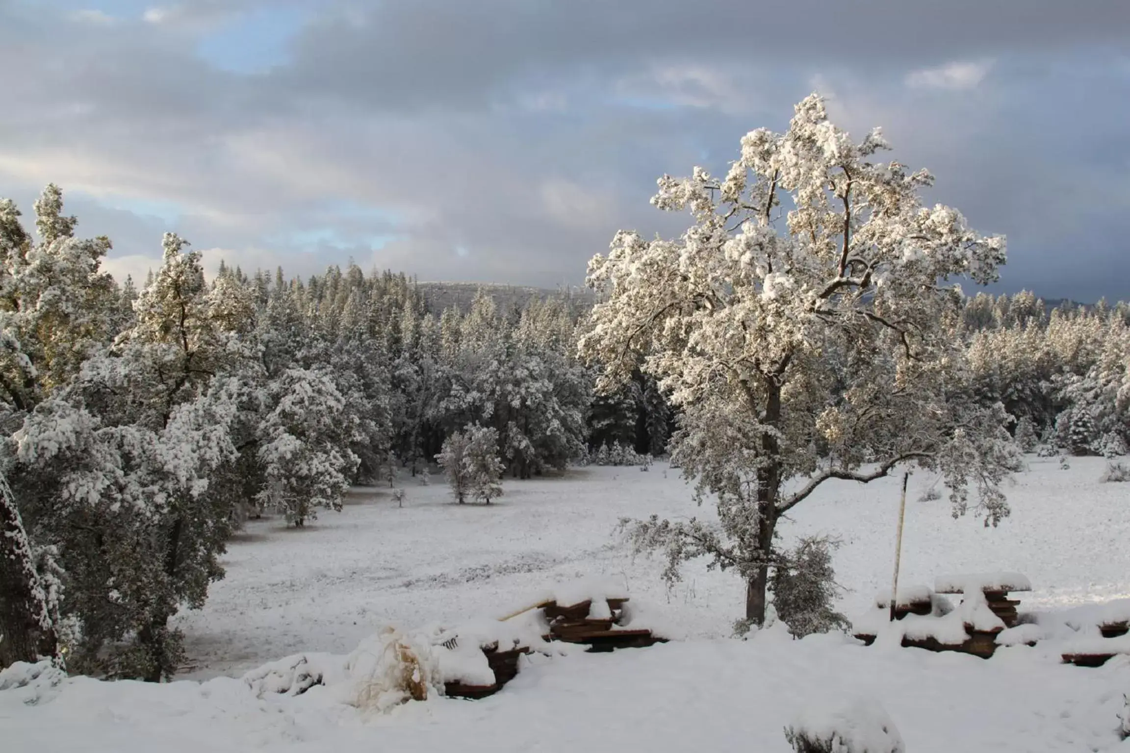 Winter in Red Tail Ranch