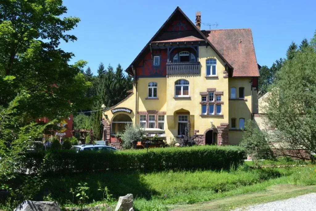 Hotel Dammenmühle Hotel Dammenmühle