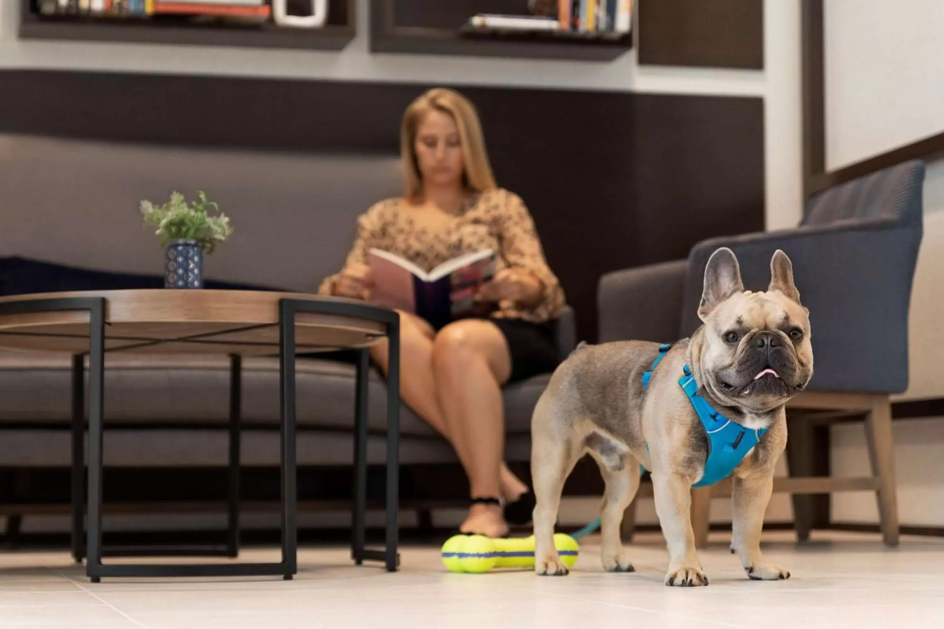 Lobby or reception in Hyatt Place Virginia Beach Town Center