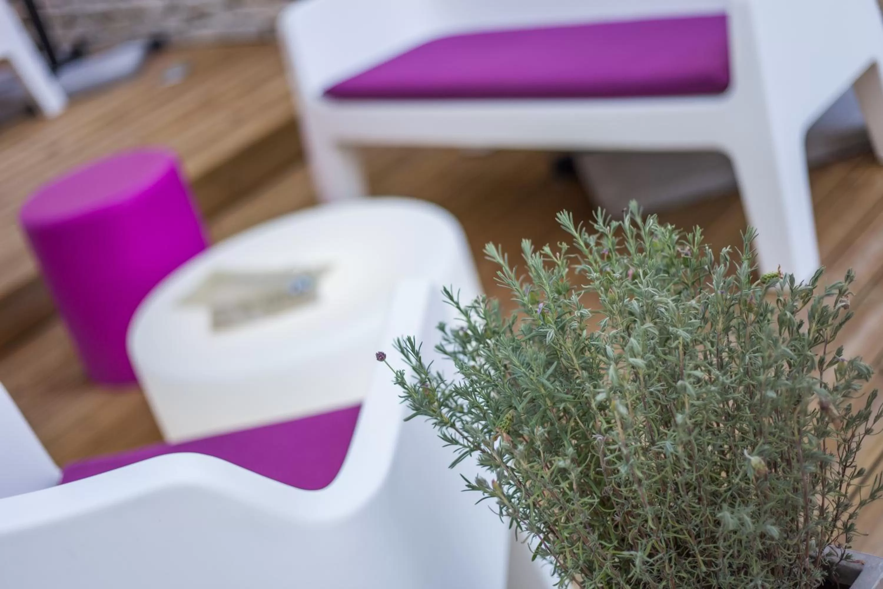 Patio in Johan Design & SPA Hotel