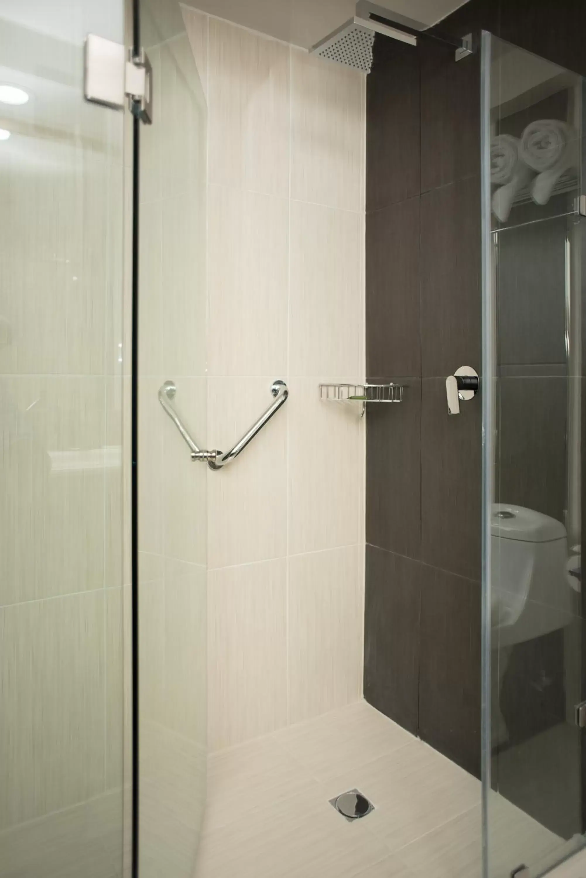 Shower, Bathroom in Radisson Hotel & Convention Center Toluca