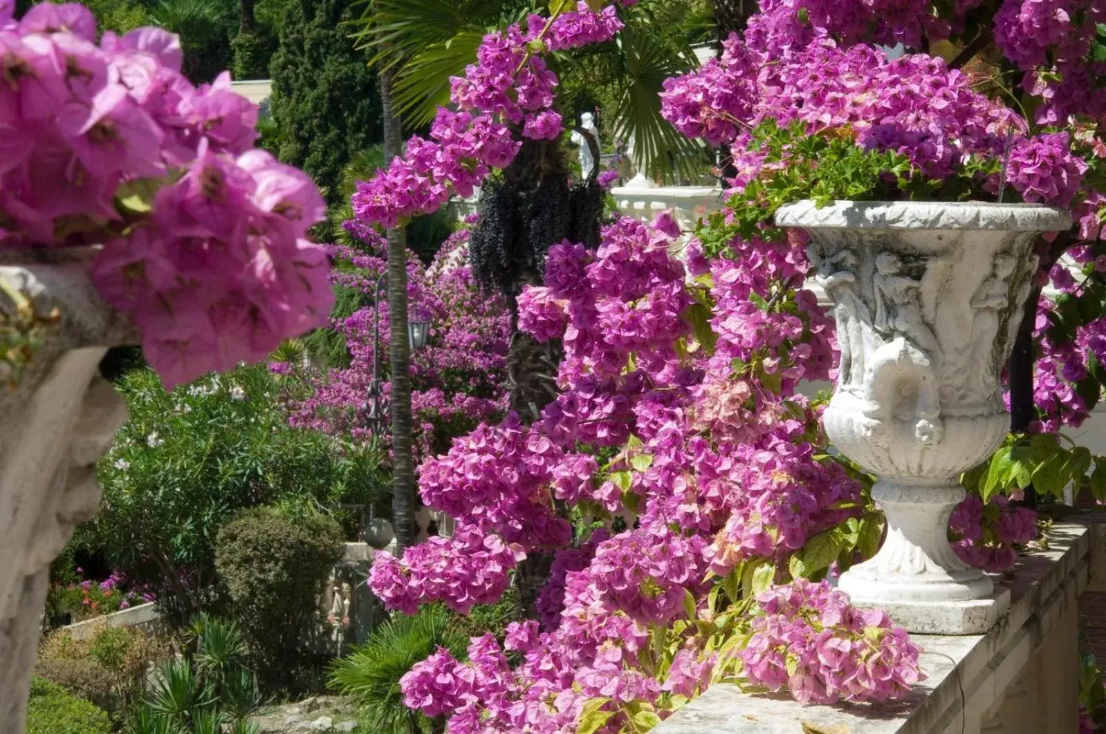 Garden in Park Hotel Ville Montefiori