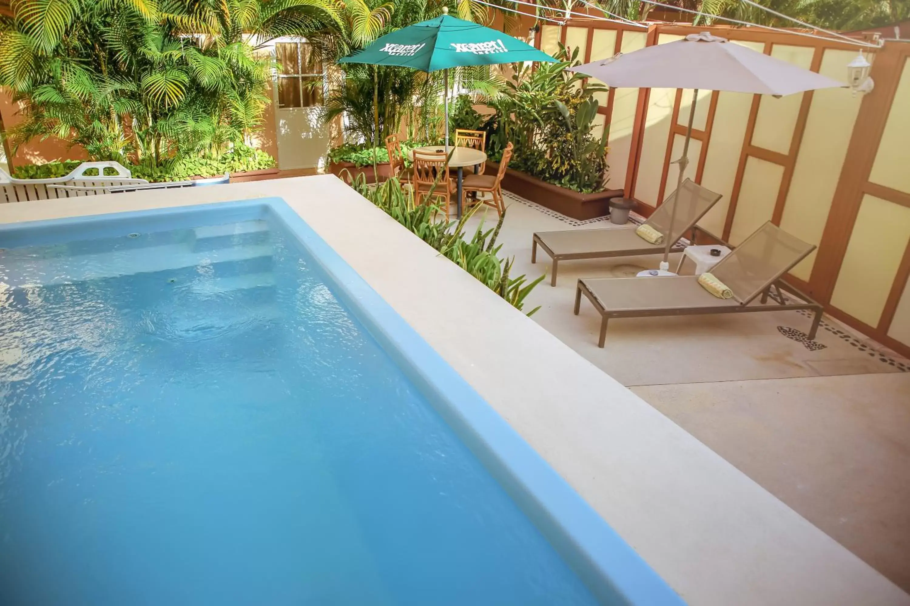 Pool view, Swimming Pool in Casa Saab