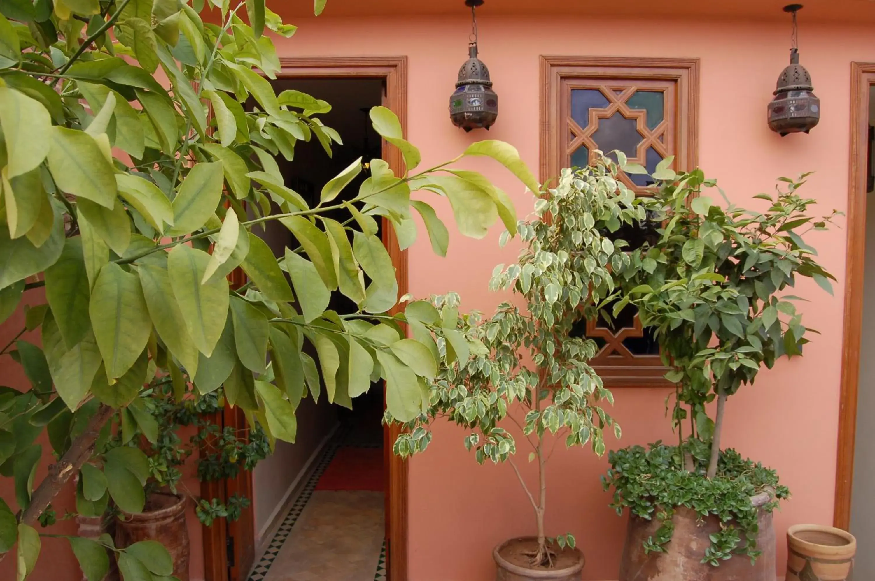 Balcony/Terrace in Riad Les Trois Palmiers El Bacha