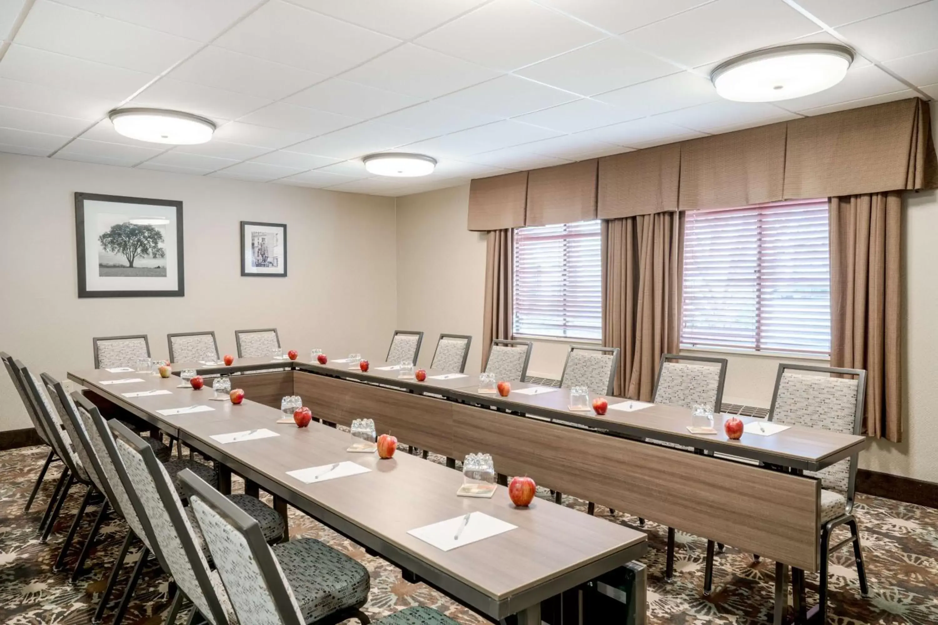 Meeting/conference room in Hampton Inn Downingtown/Exton