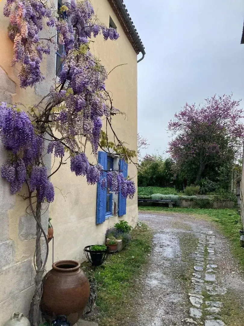 Garden view, Property Building in Casa Bella