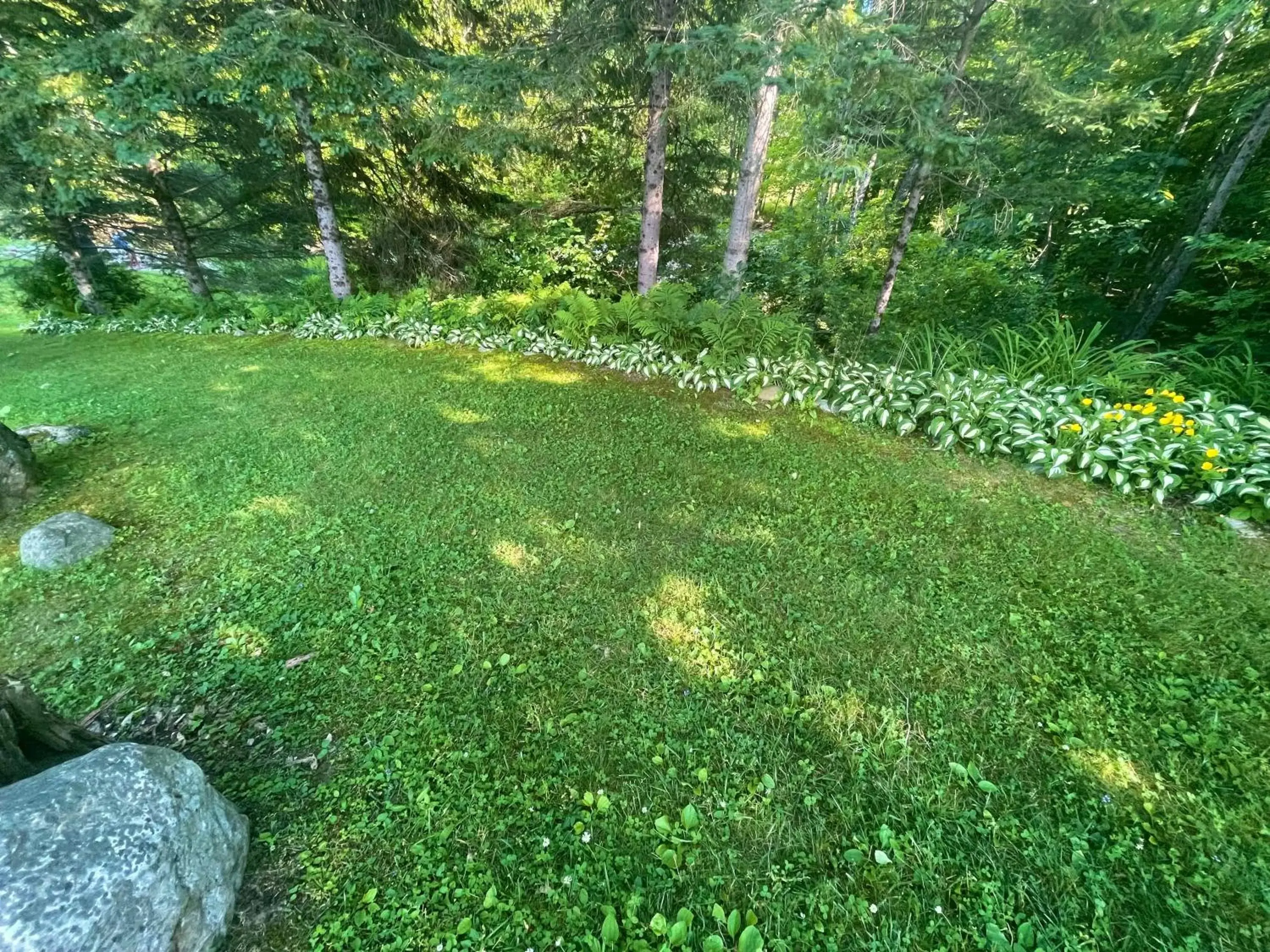 Garden in Toll Road Inn