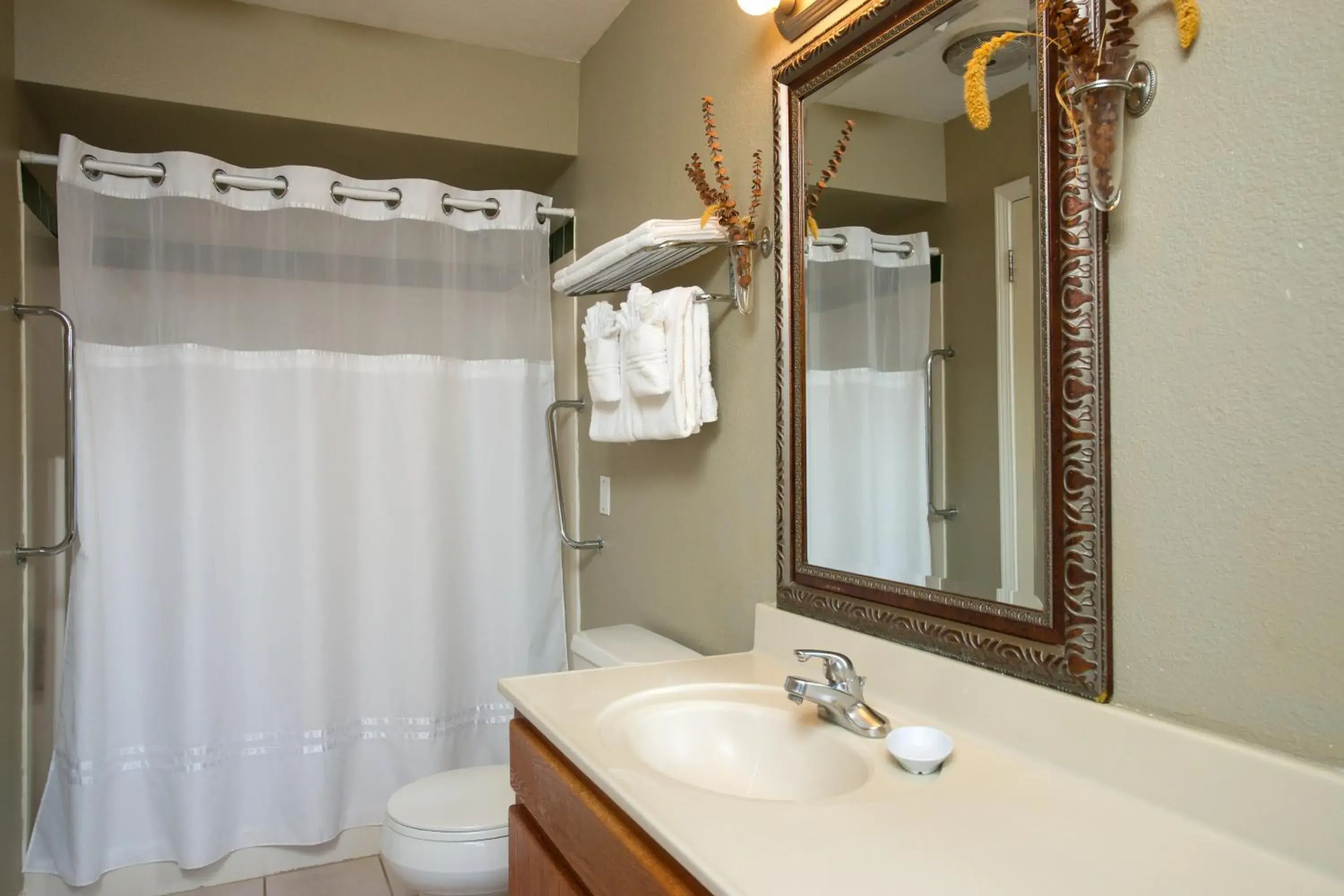 Bathroom in Baby Quail Inn