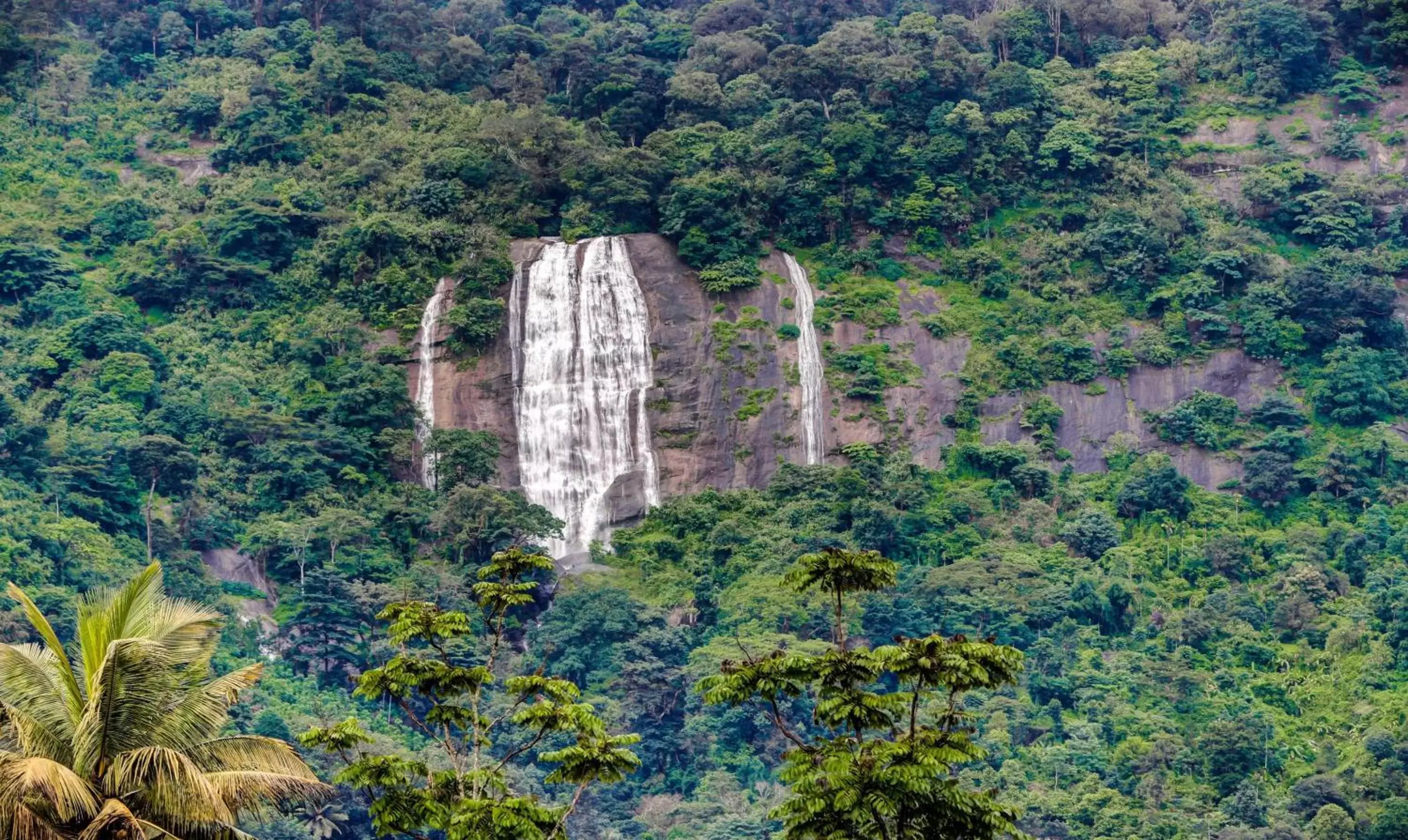 View (from property/room) in Misty Garden Resort and SPA View (from property/room) in Misty Garden Resort and SPA