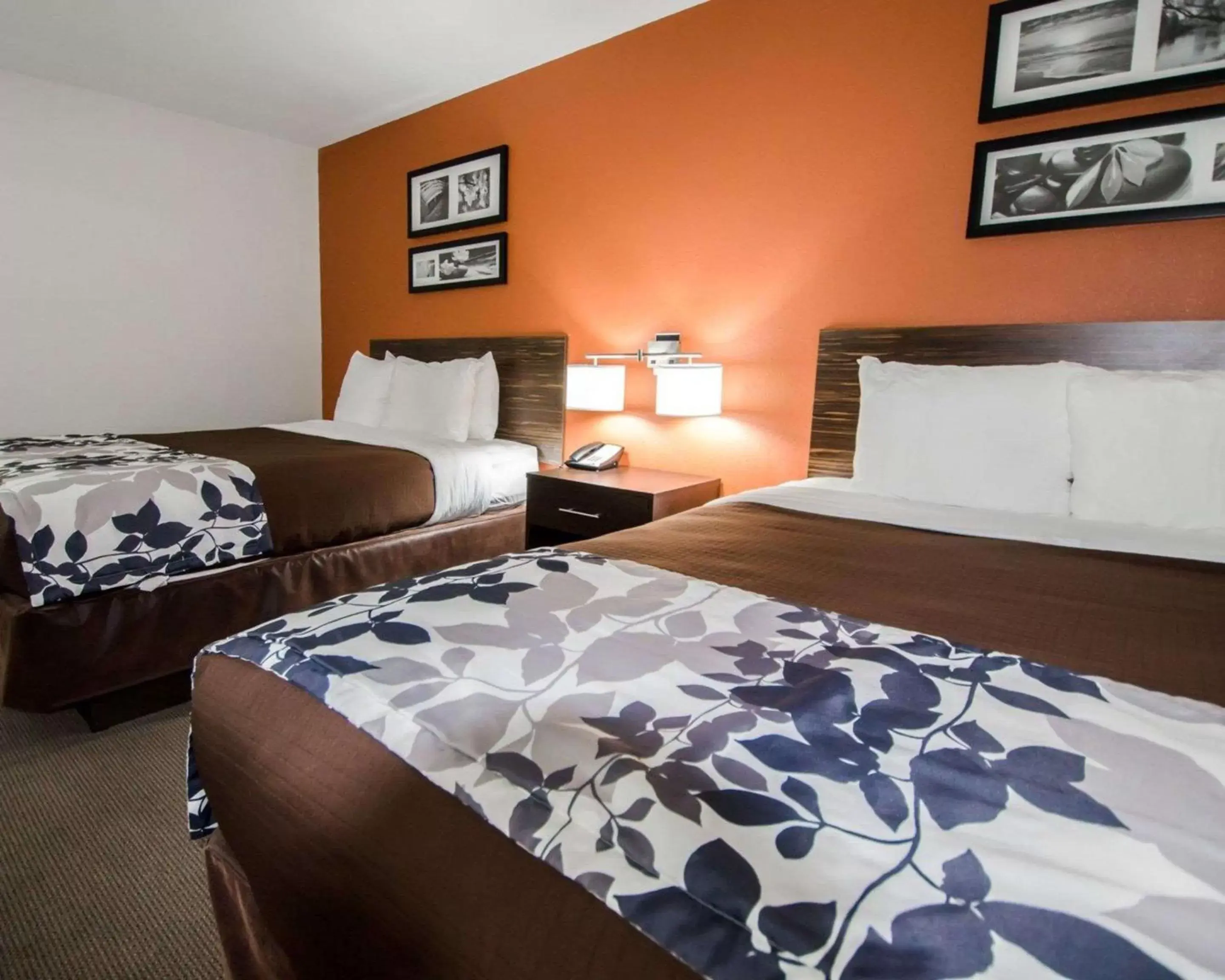 Photo of the whole room, Bed in Sleep Inn & Suites And Conference Center Downtown