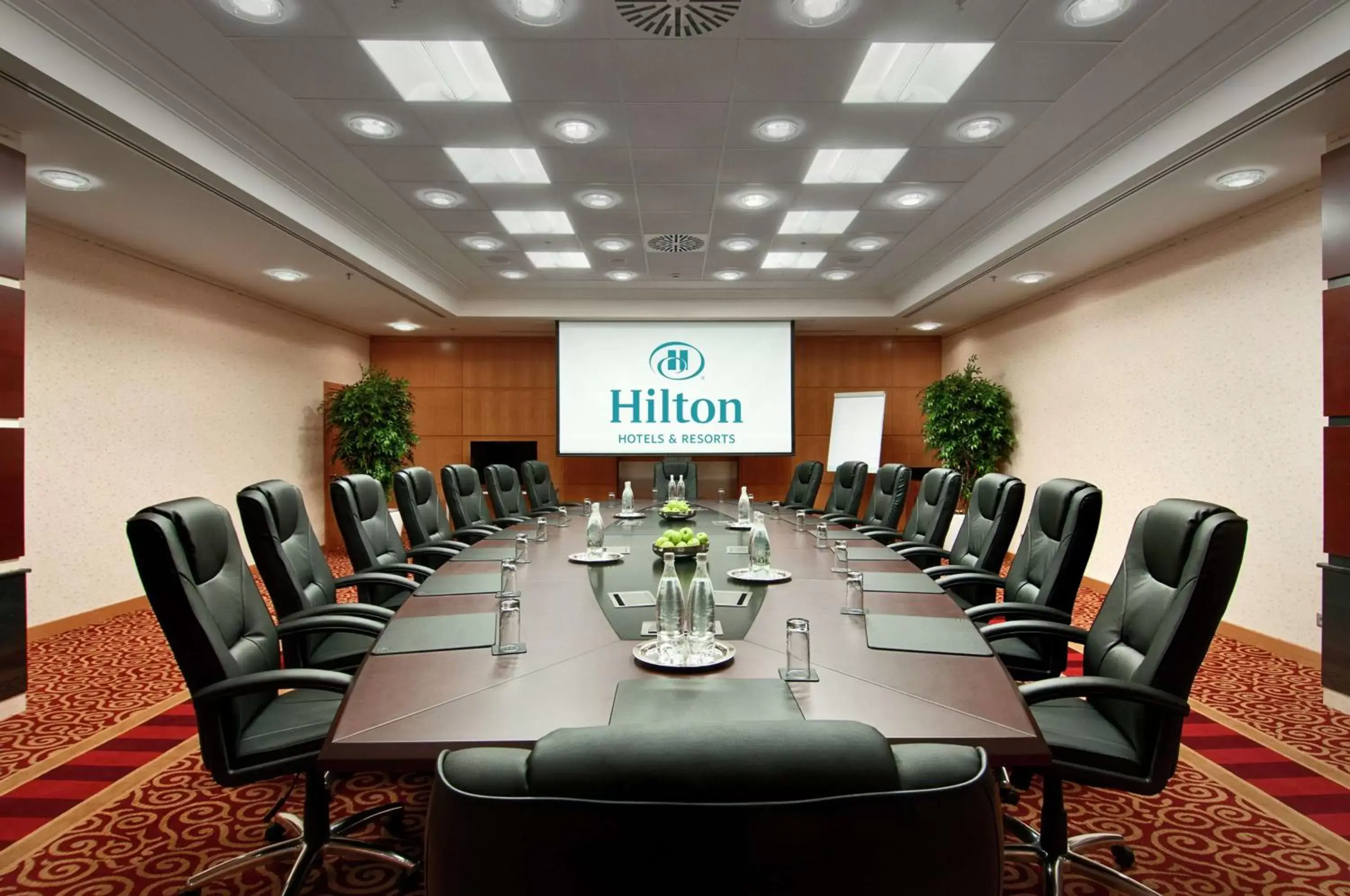 Meeting/conference room in Ankara HiltonSA