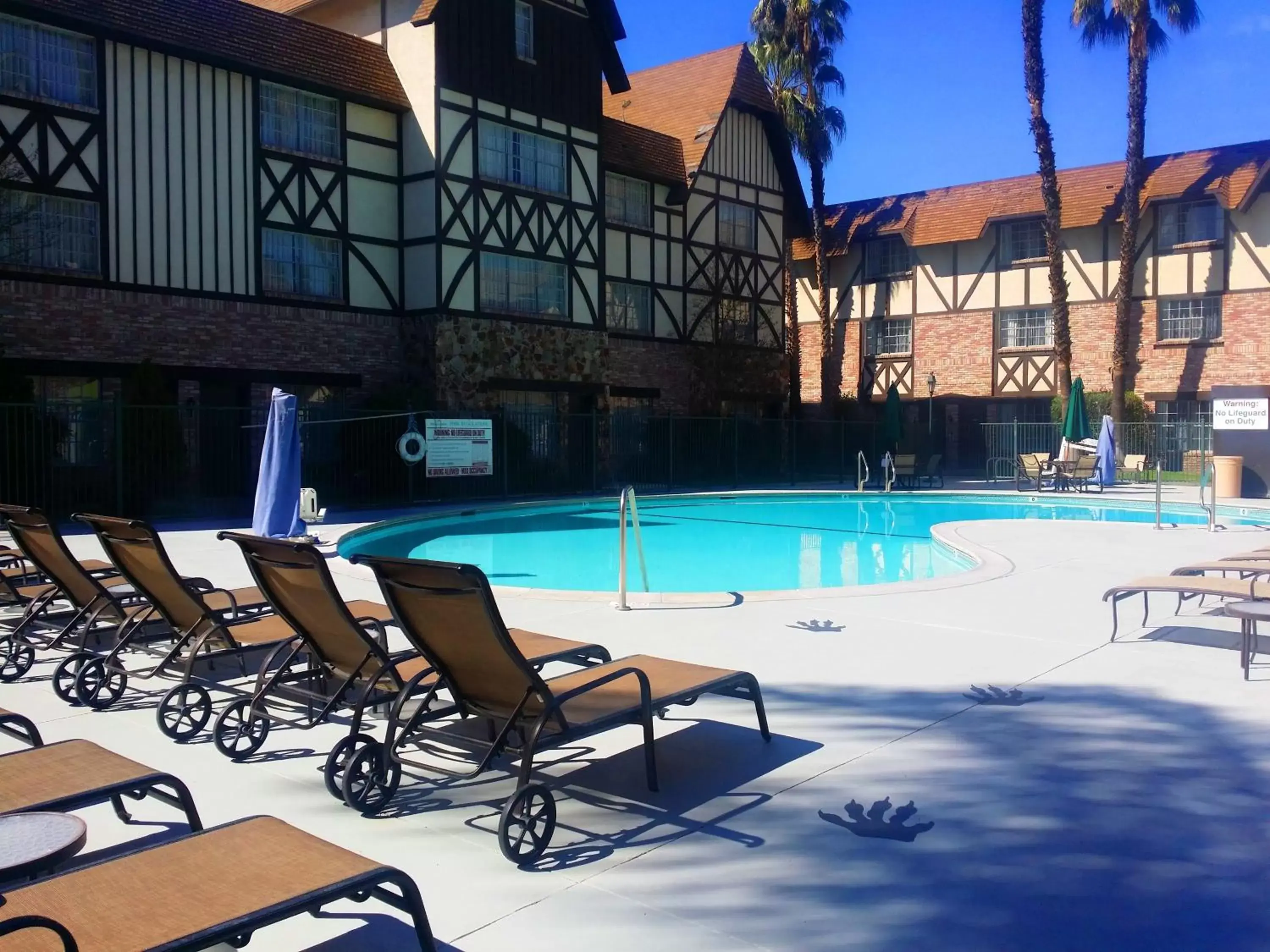 Swimming pool in Anaheim Majestic Garden Hotel Swimming pool in Anaheim Majestic Garden Hotel