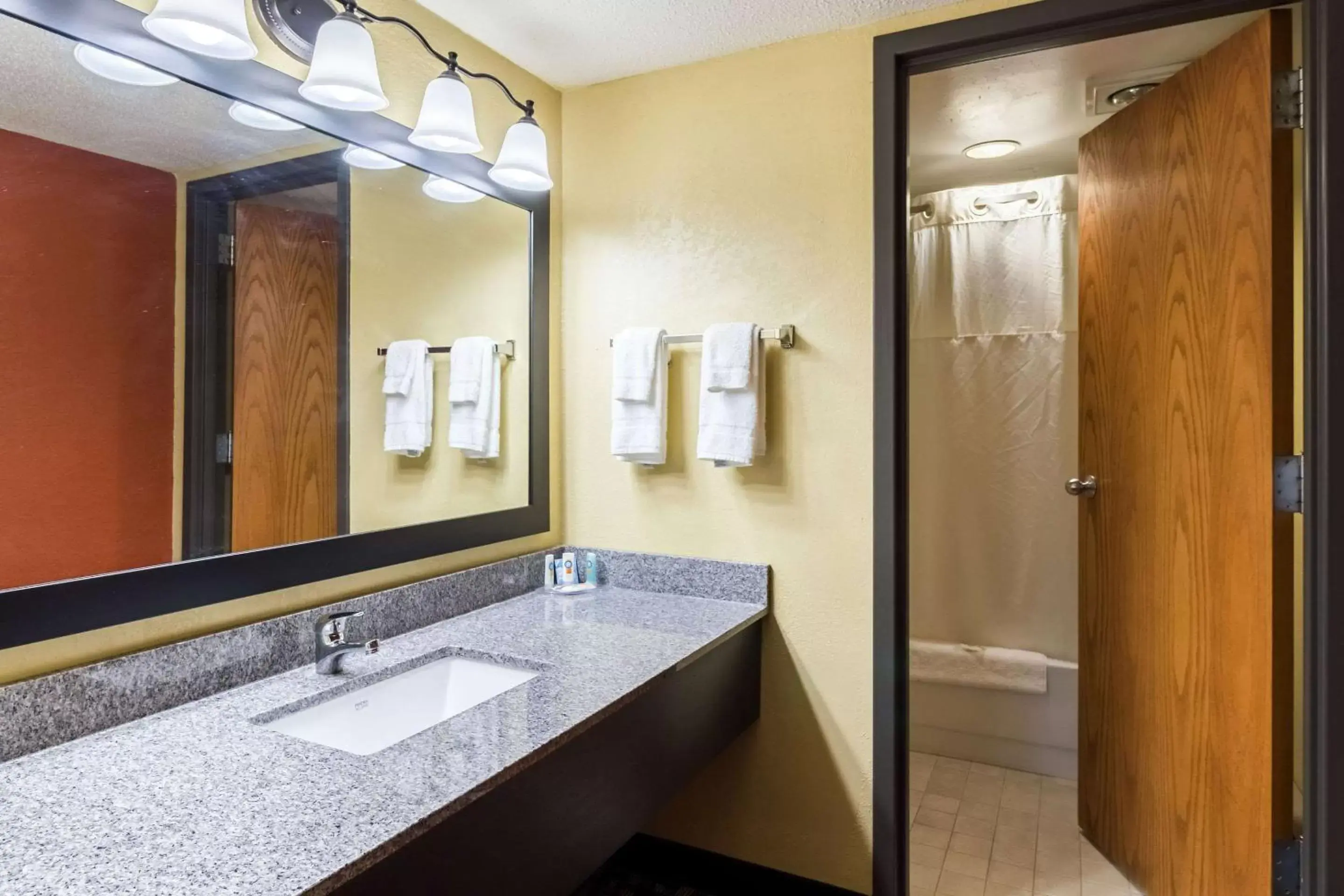 Bathroom in Quality Inn & Suites Mayo Clinic Area
