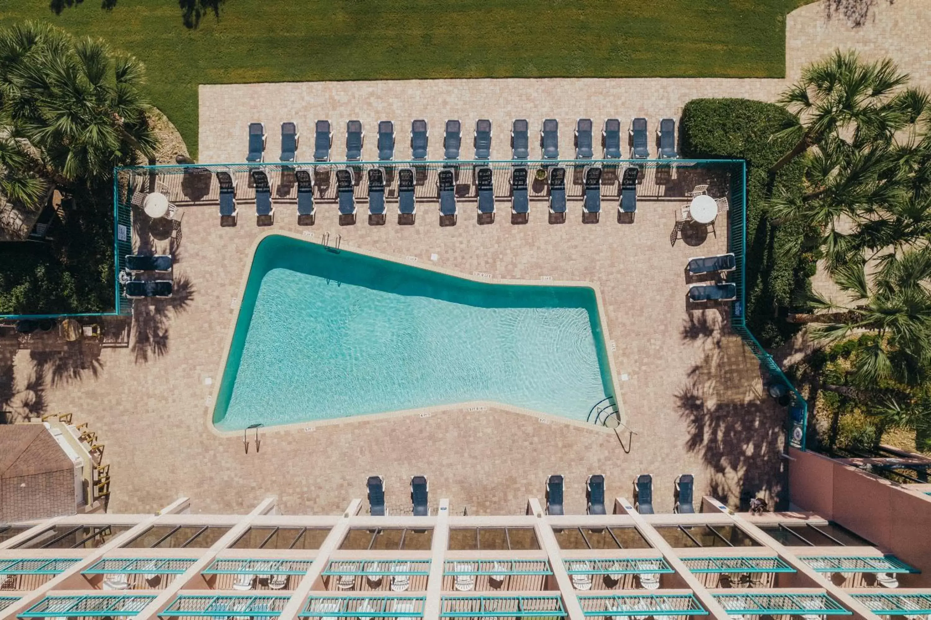 Swimming pool, Pool View in Sandcastle Oceanfront Resort South Beach