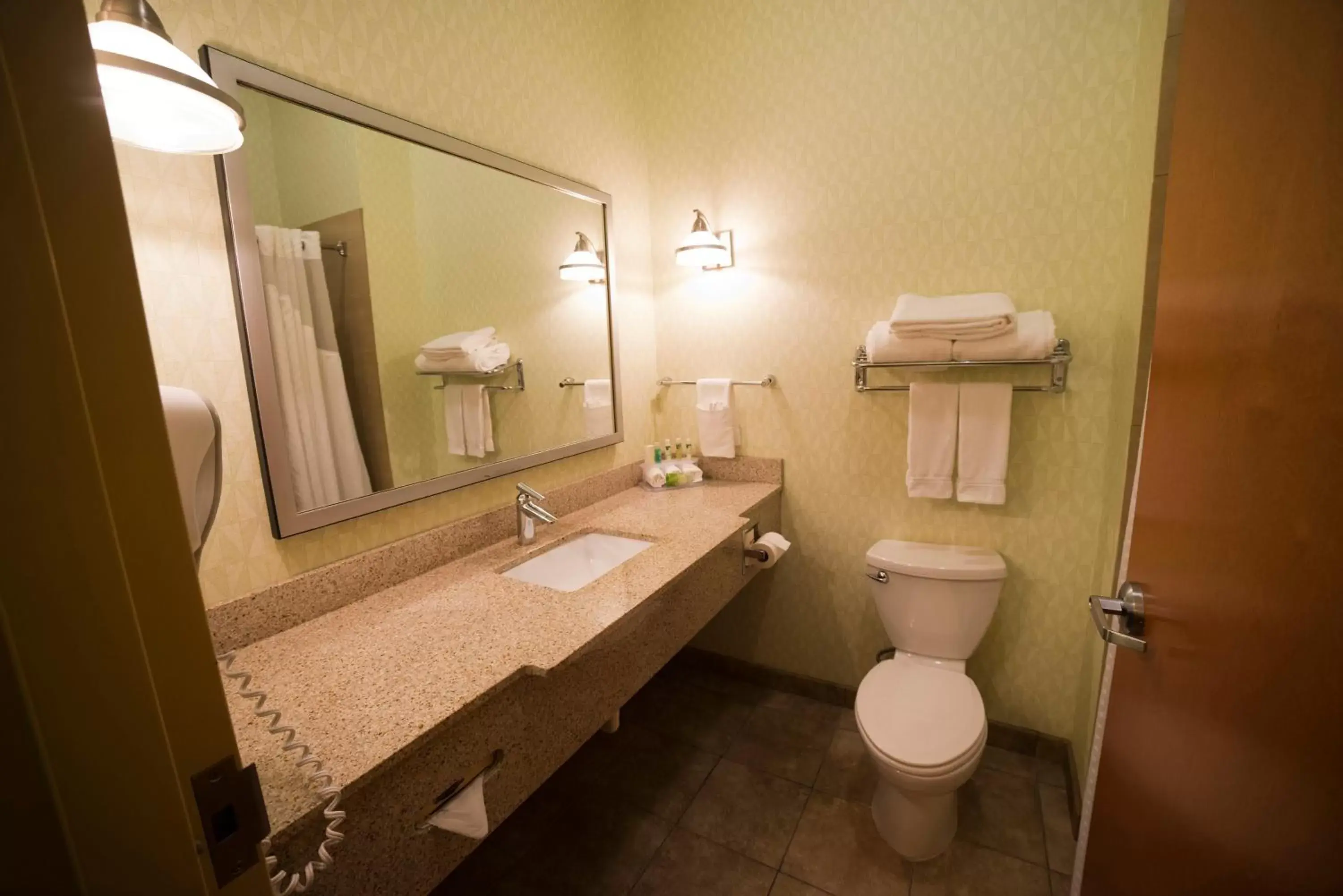 Photo of the whole room, Bathroom in Holiday Inn Express Hotel & Suites Atlanta East - Lithonia, an IHG Hotel