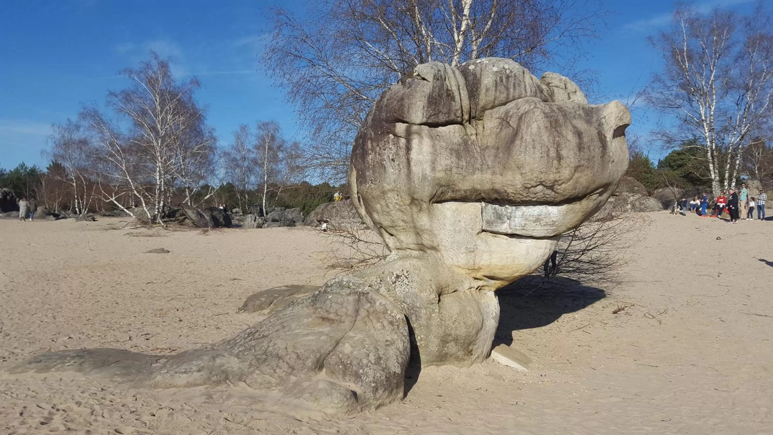 Nearby landmark in Apakabar Homestay - proche gare Melun, parking privé, Netflix