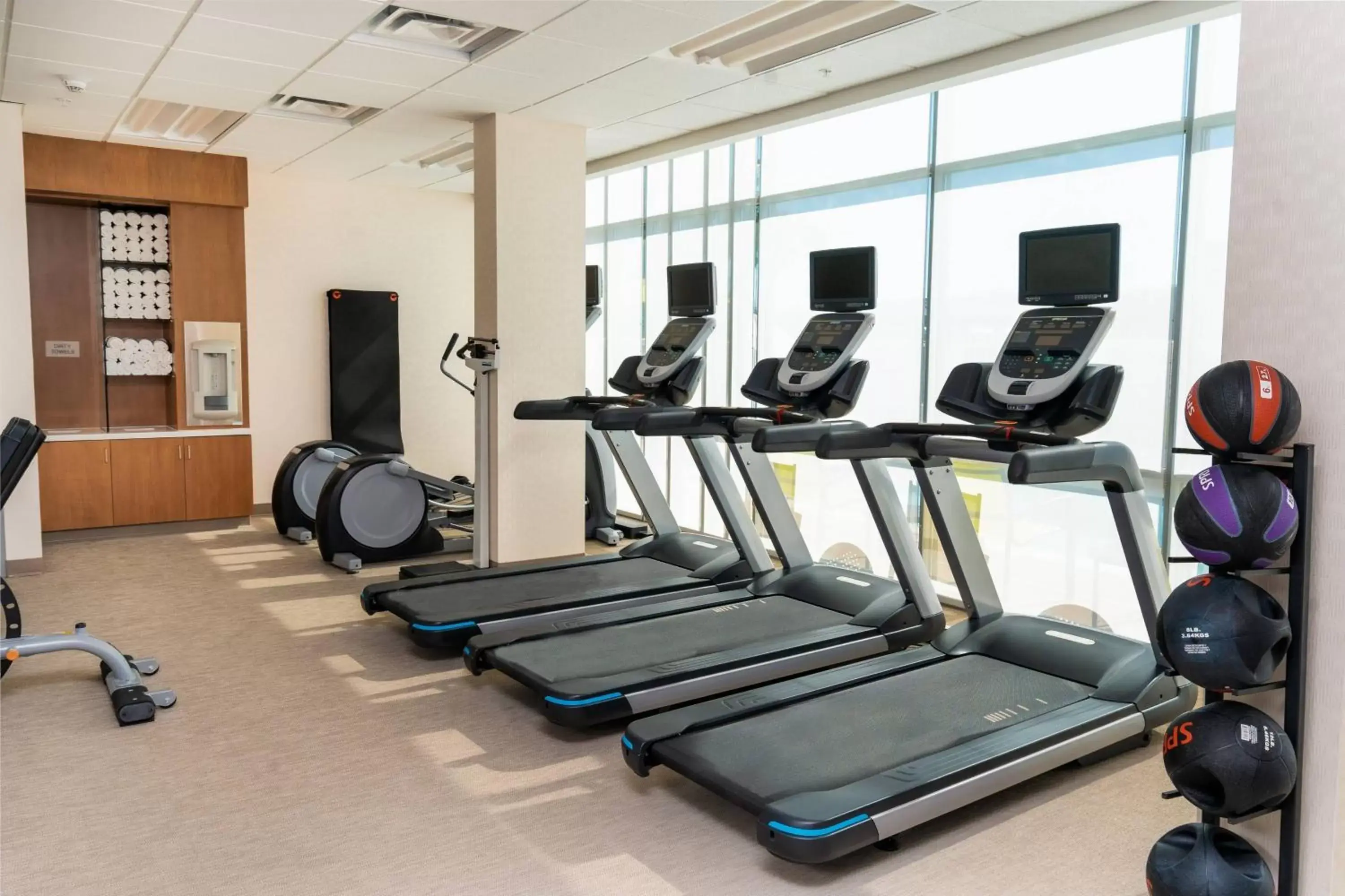 Fitness centre/facilities, Fitness Center/Facilities in SpringHill Suites by Marriott Newark Fremont