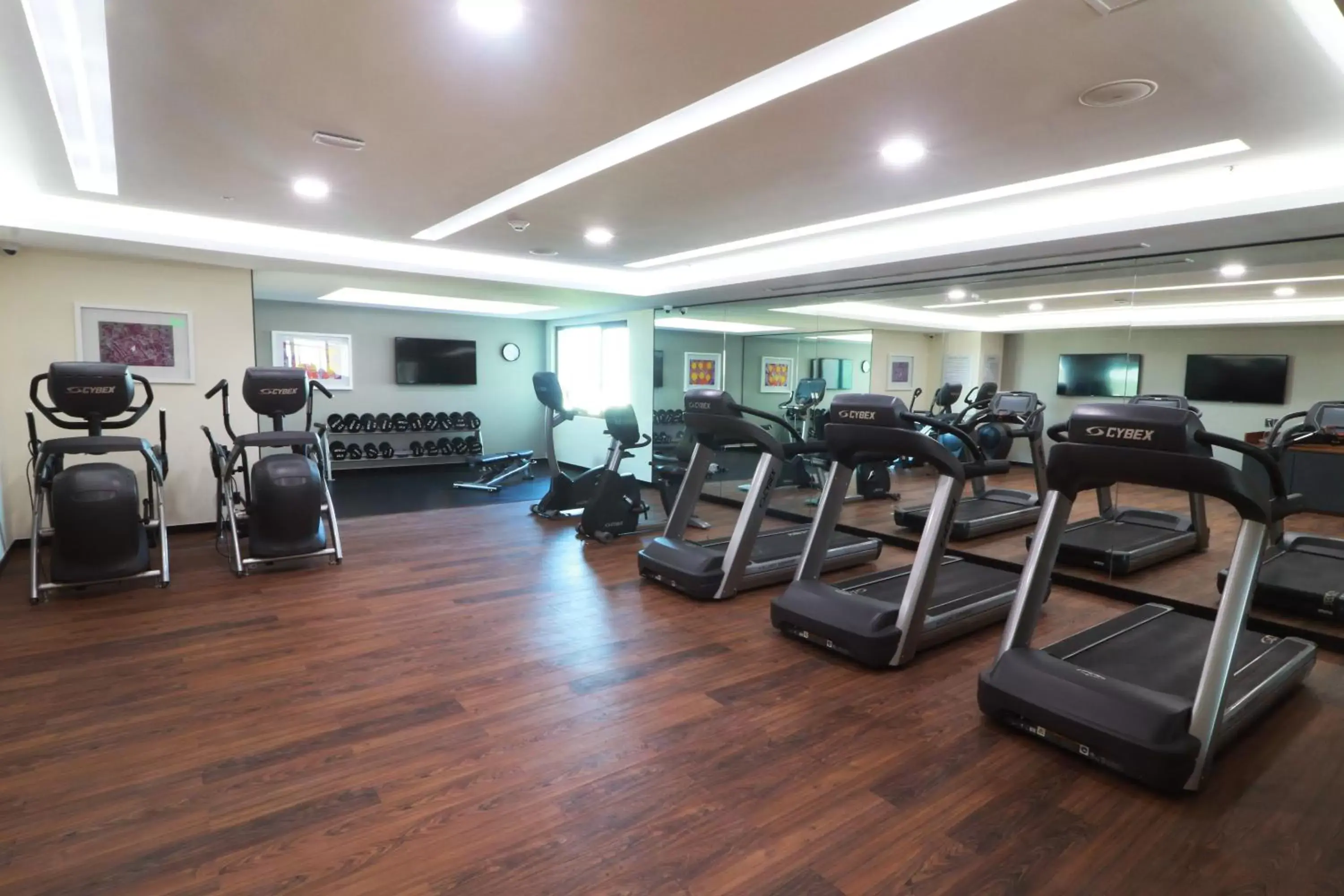 Fitness centre/facilities, Fitness Center/Facilities in Holiday Inn & Suites - Puerto Vallarta Marina & Golf, an IHG Hotel