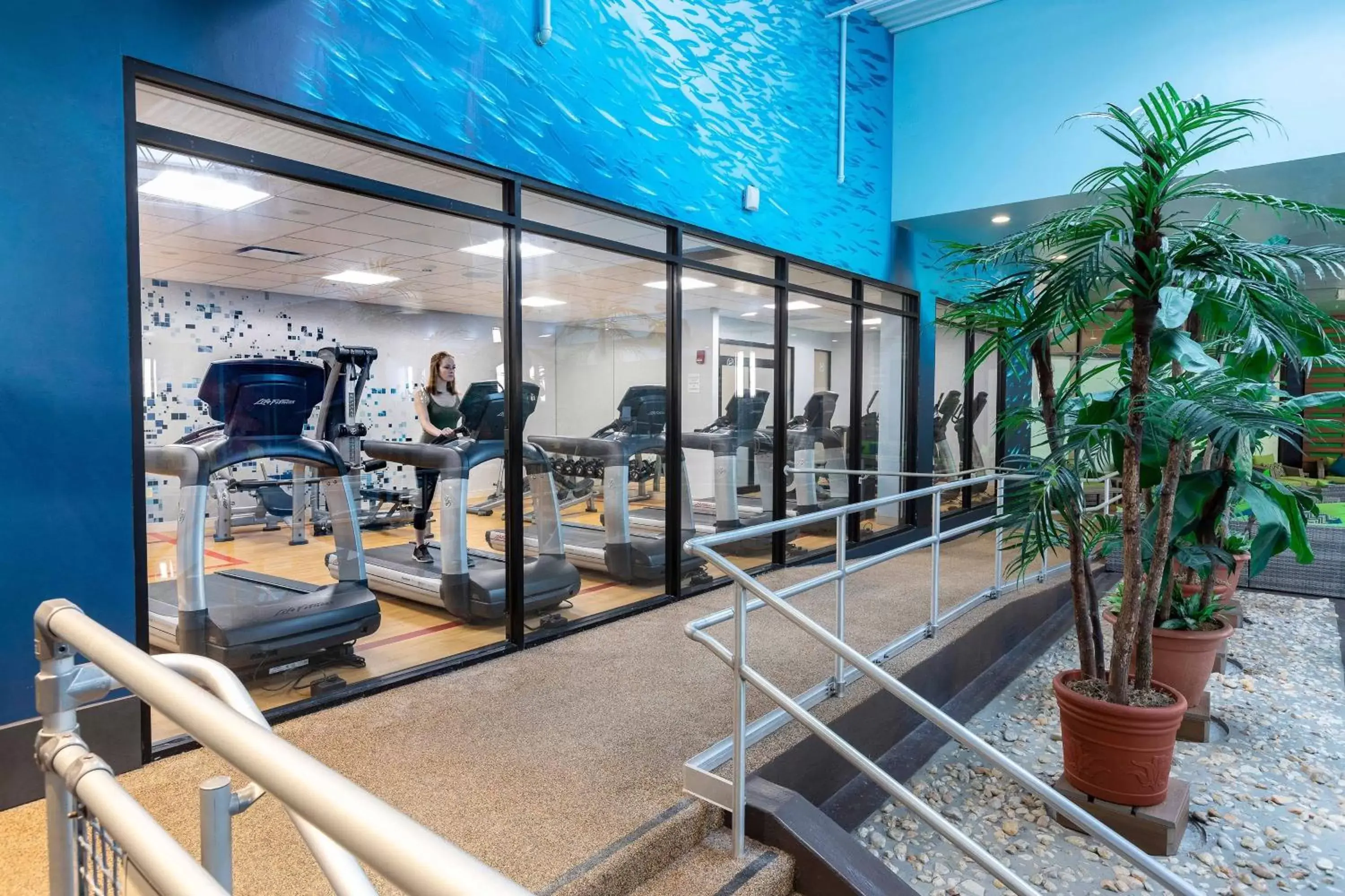 Fitness centre/facilities, Fitness Center/Facilities in Sheraton Niagara Falls