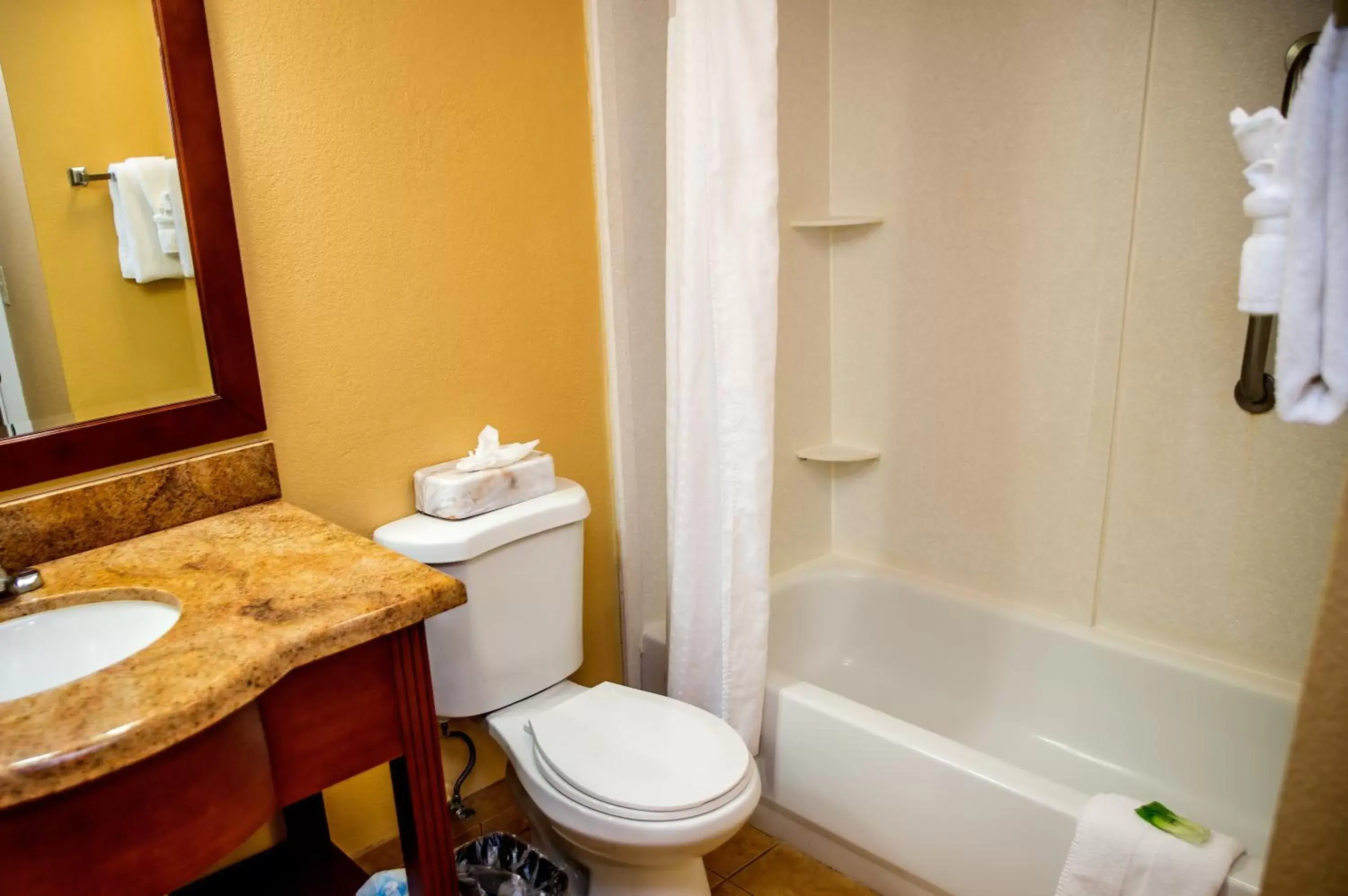 Photo of the whole room, Bathroom in Holiday Inn Express Hotel & Suites Cocoa Beach, an IHG Hotel