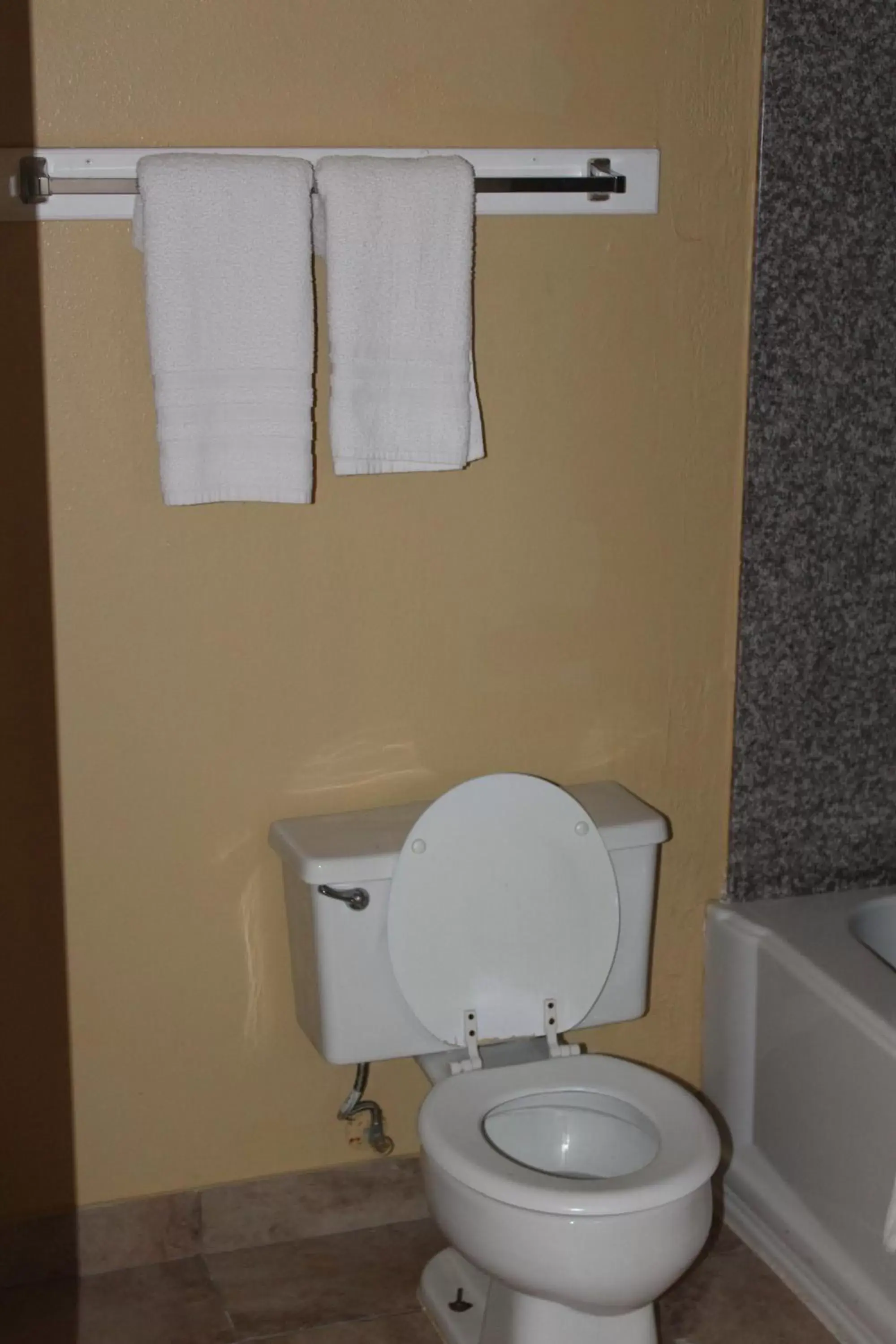 Double Room in The Executive Inn & Suites Double Room in The Executive Inn & Suites