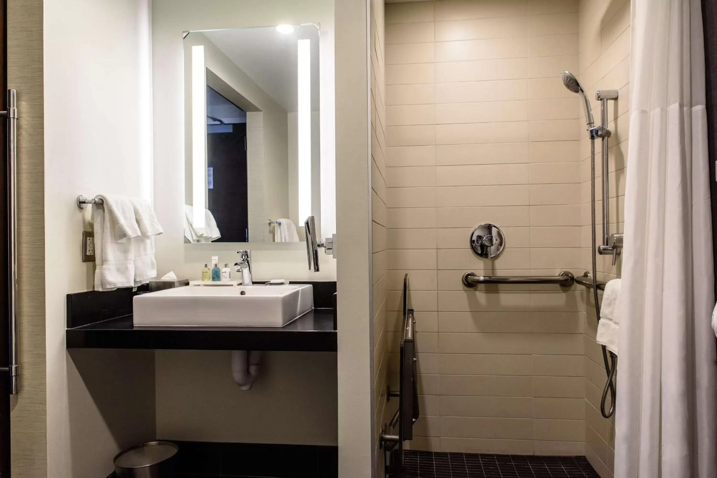 Photo of the whole room, Bathroom in Radisson Blu Mall of America