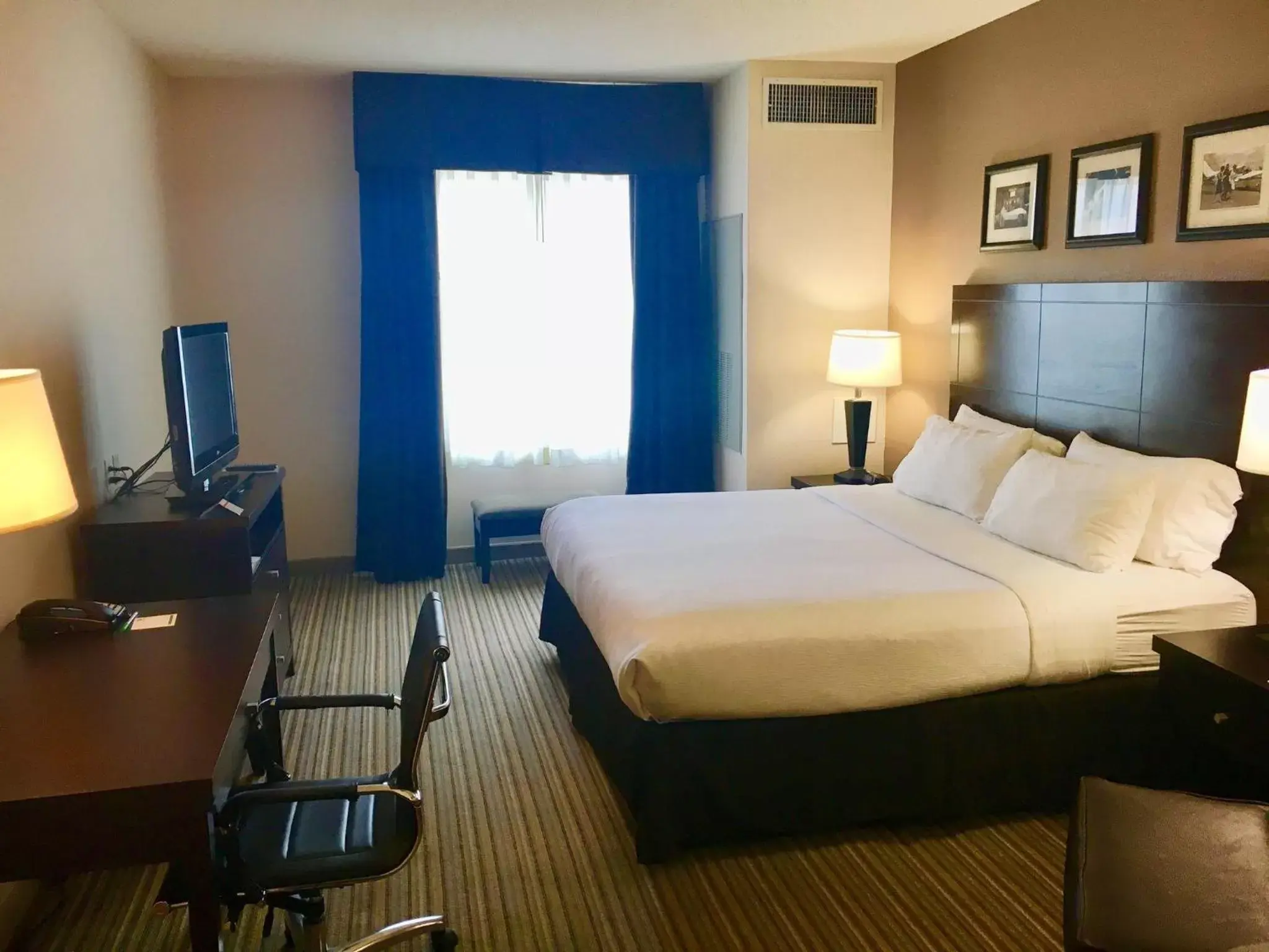Photo of the whole room, Bed in Holiday Inn Louisville Airport - Fair/Expo, an IHG Hotel