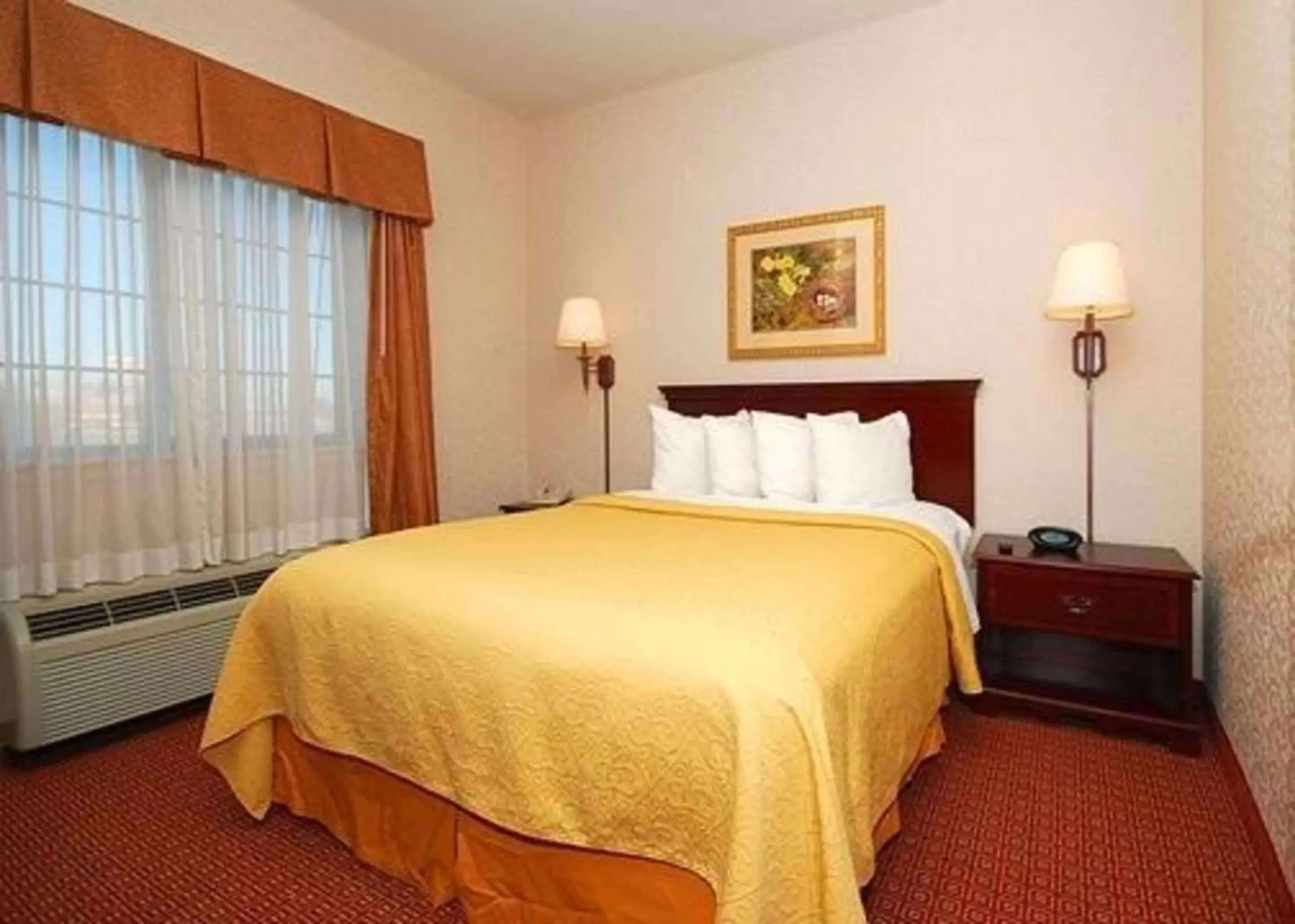 Photo of the whole room, Bed in Quality Inn & Suites Near University