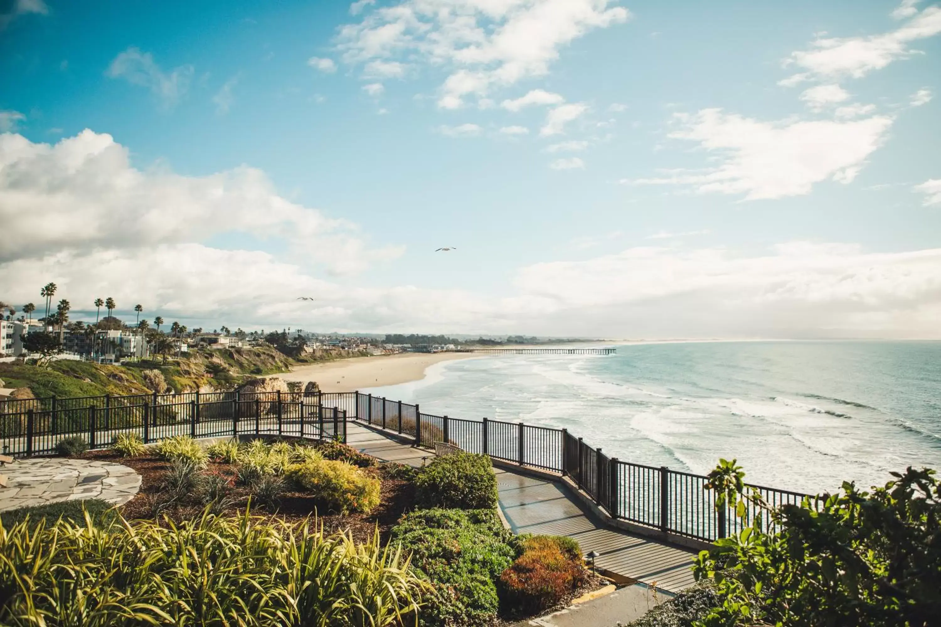 Sea view in Shore Cliff Hotel