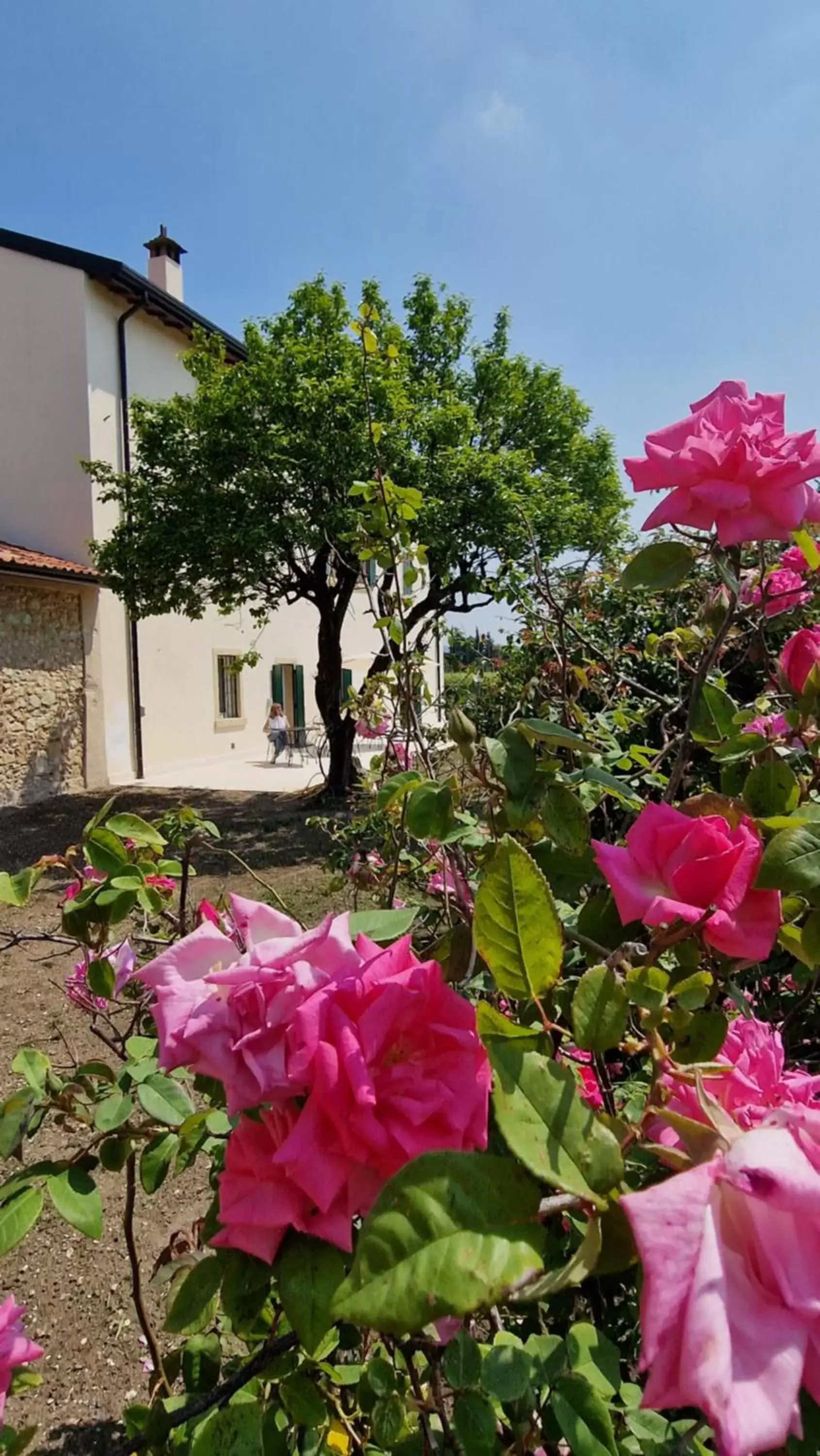 Garden, Property Building in Casa Ossan