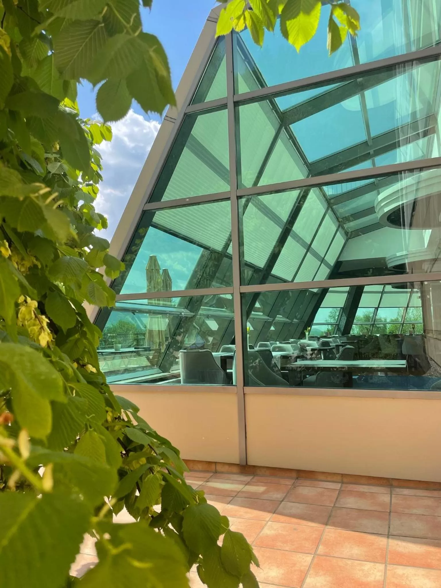 Restaurant/places to eat in Hotel Belweder