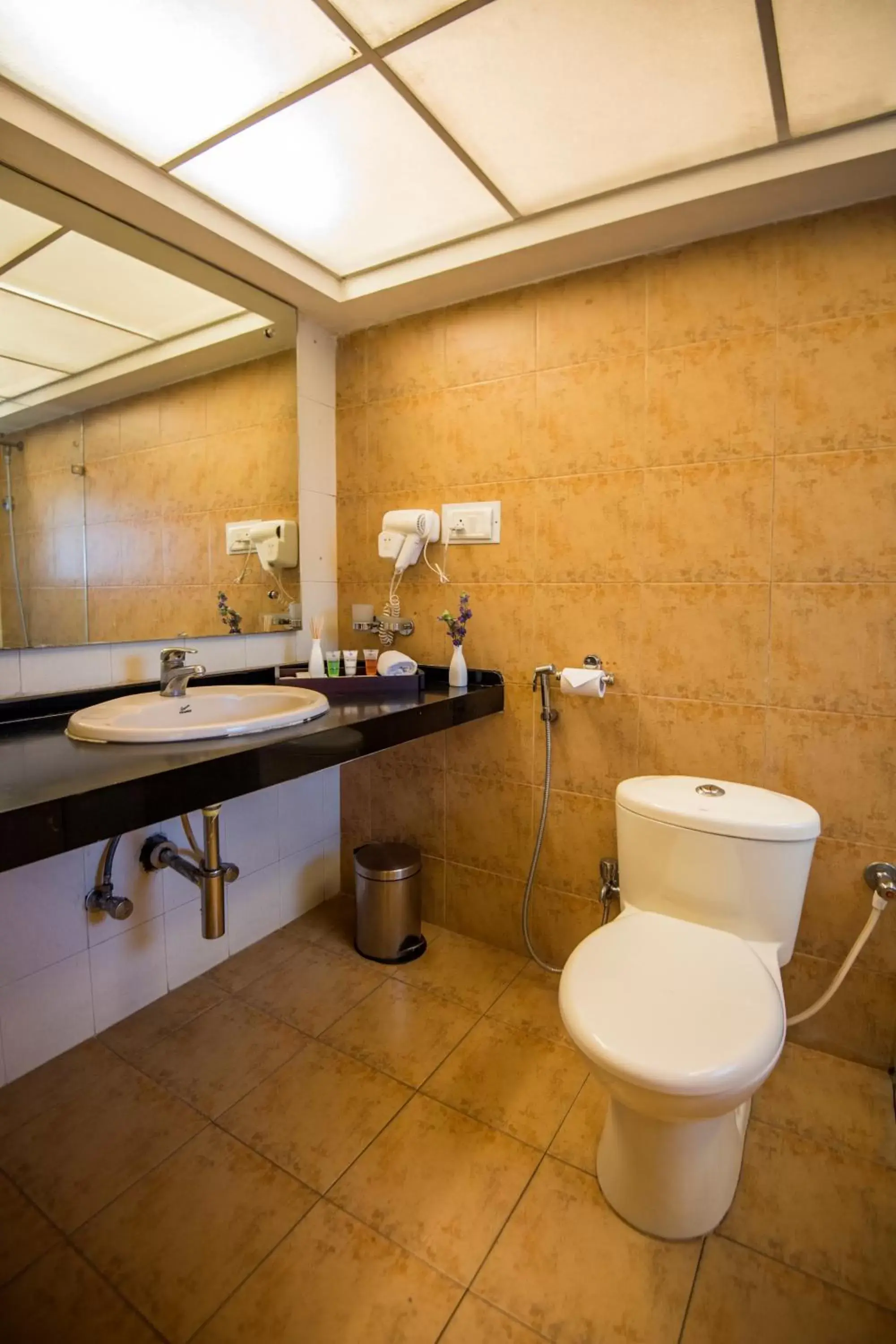 Toilet, Billiards in Hotel Park Central Comfort- E- Suites