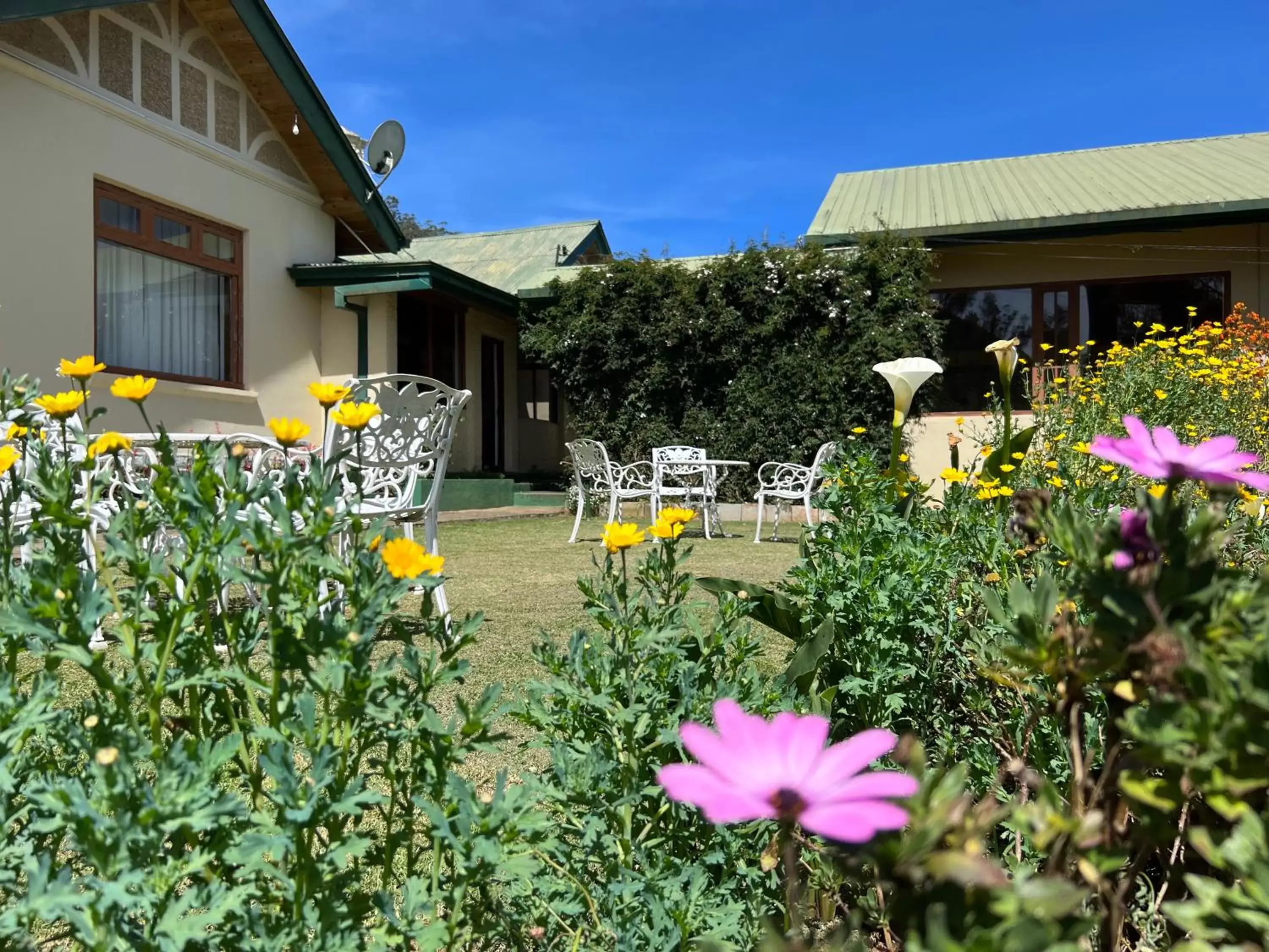 Garden, Property Building in Tea Bush Hotel