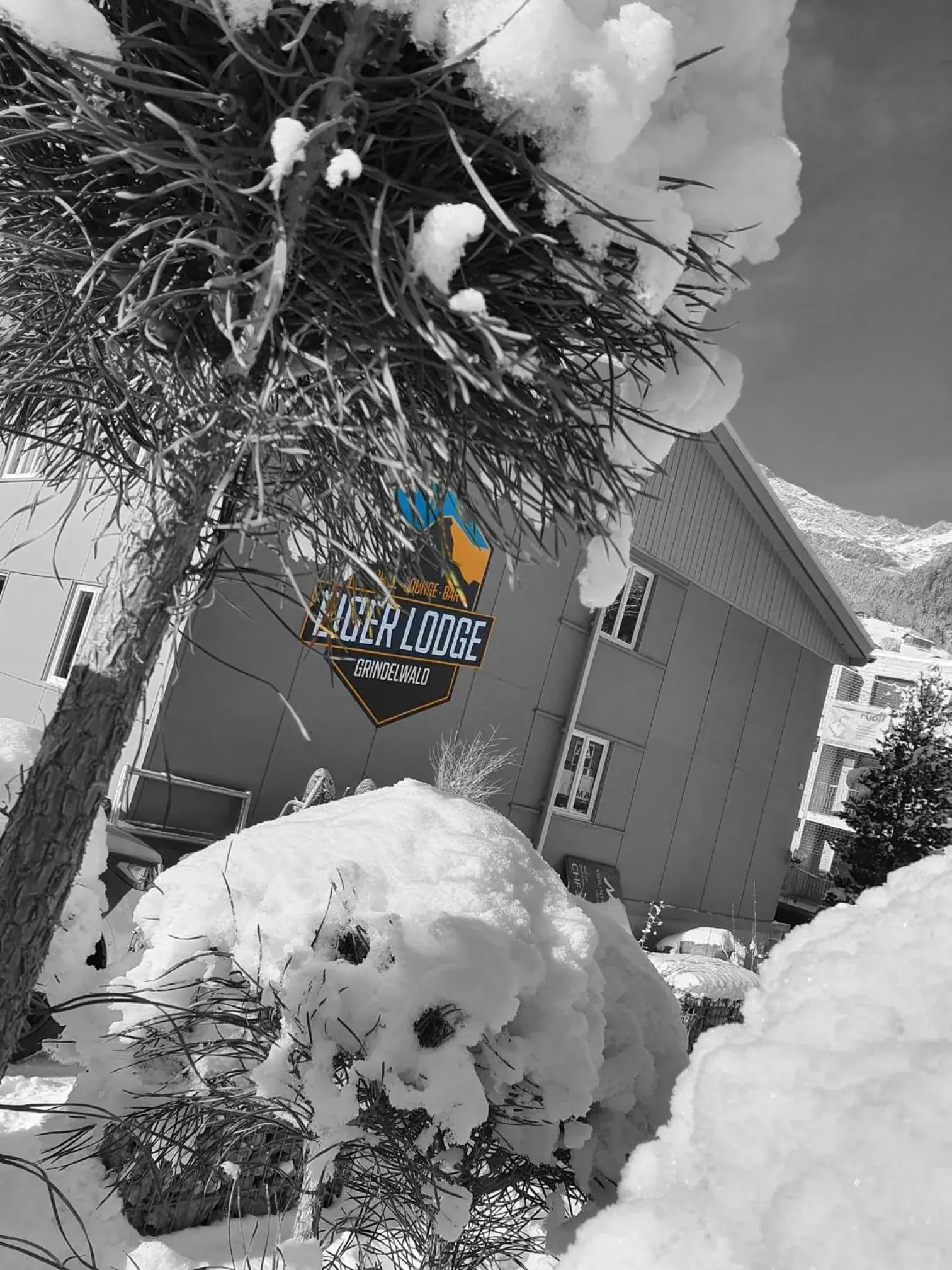 Facade/entrance, Winter in Eiger Lodge Easy