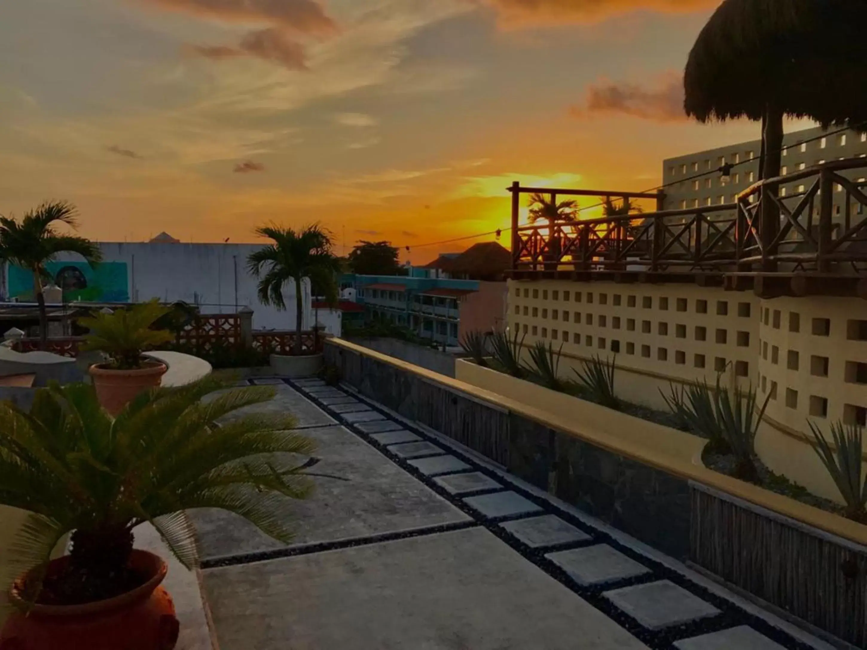 Patio, Swimming Pool in Hotel Cielo