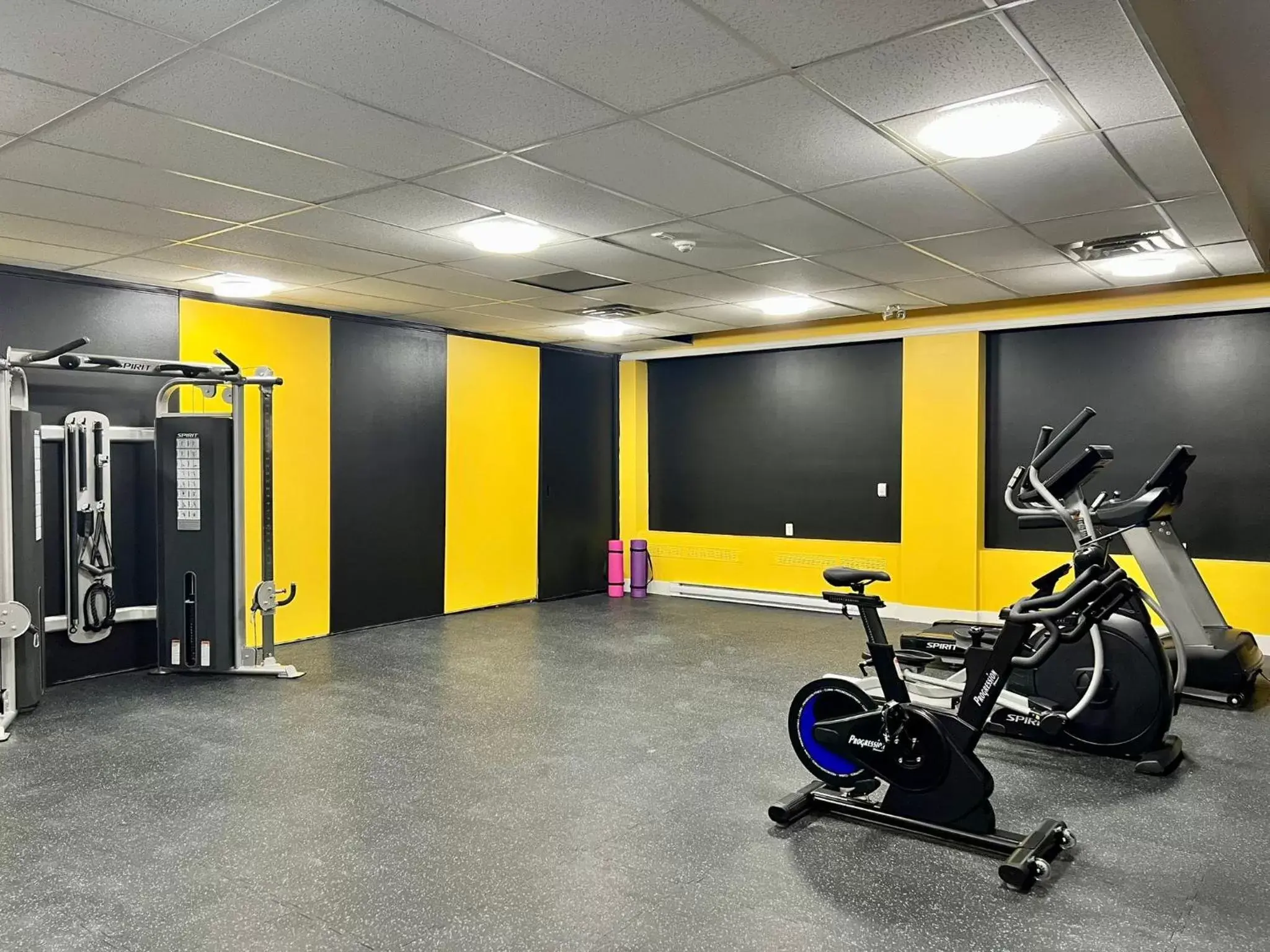 Fitness centre/facilities, Fitness Center/Facilities in The Vic, Ascend Hotel Collection