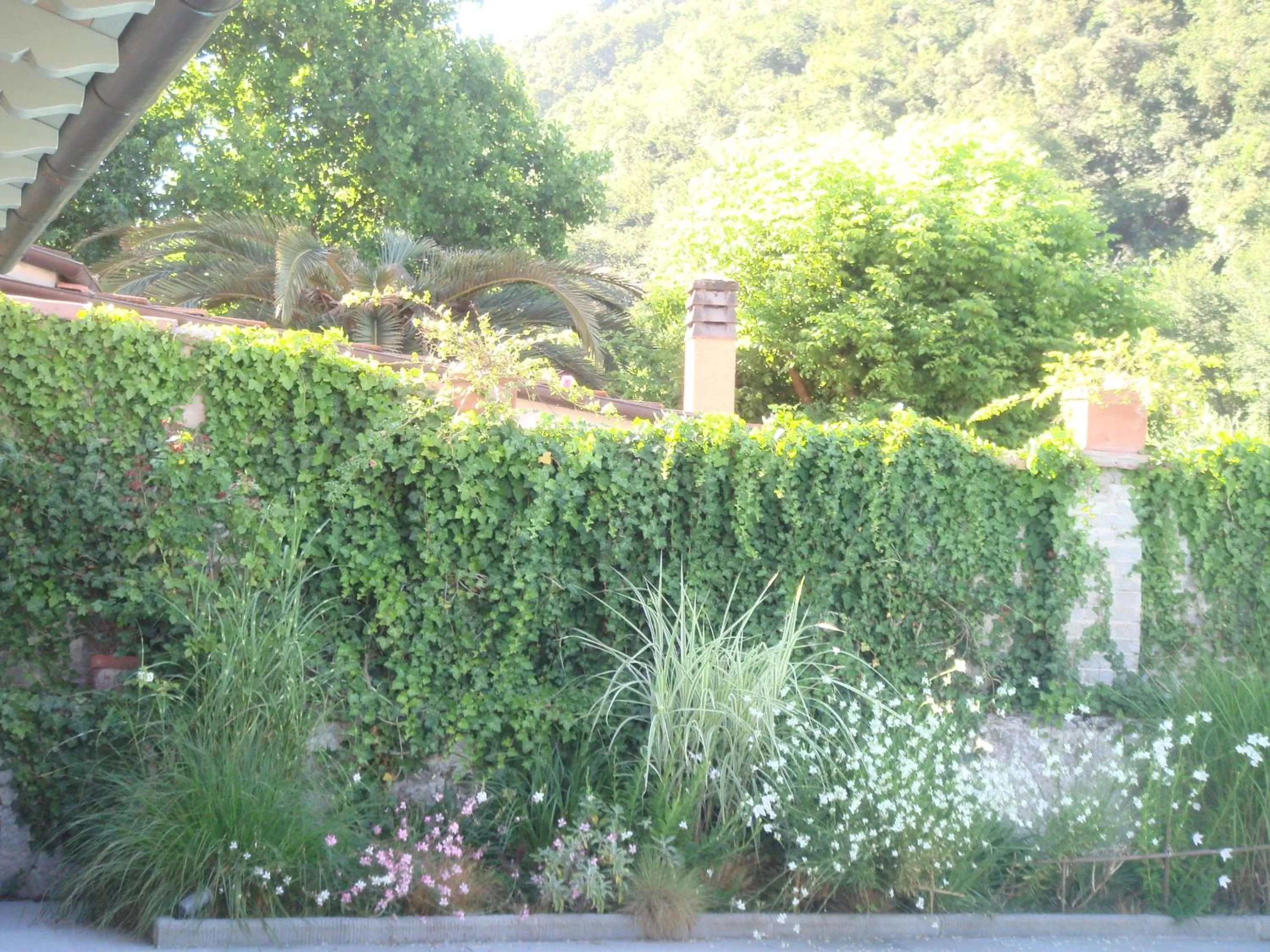 Garden in B&B Pieve Degli Artisti