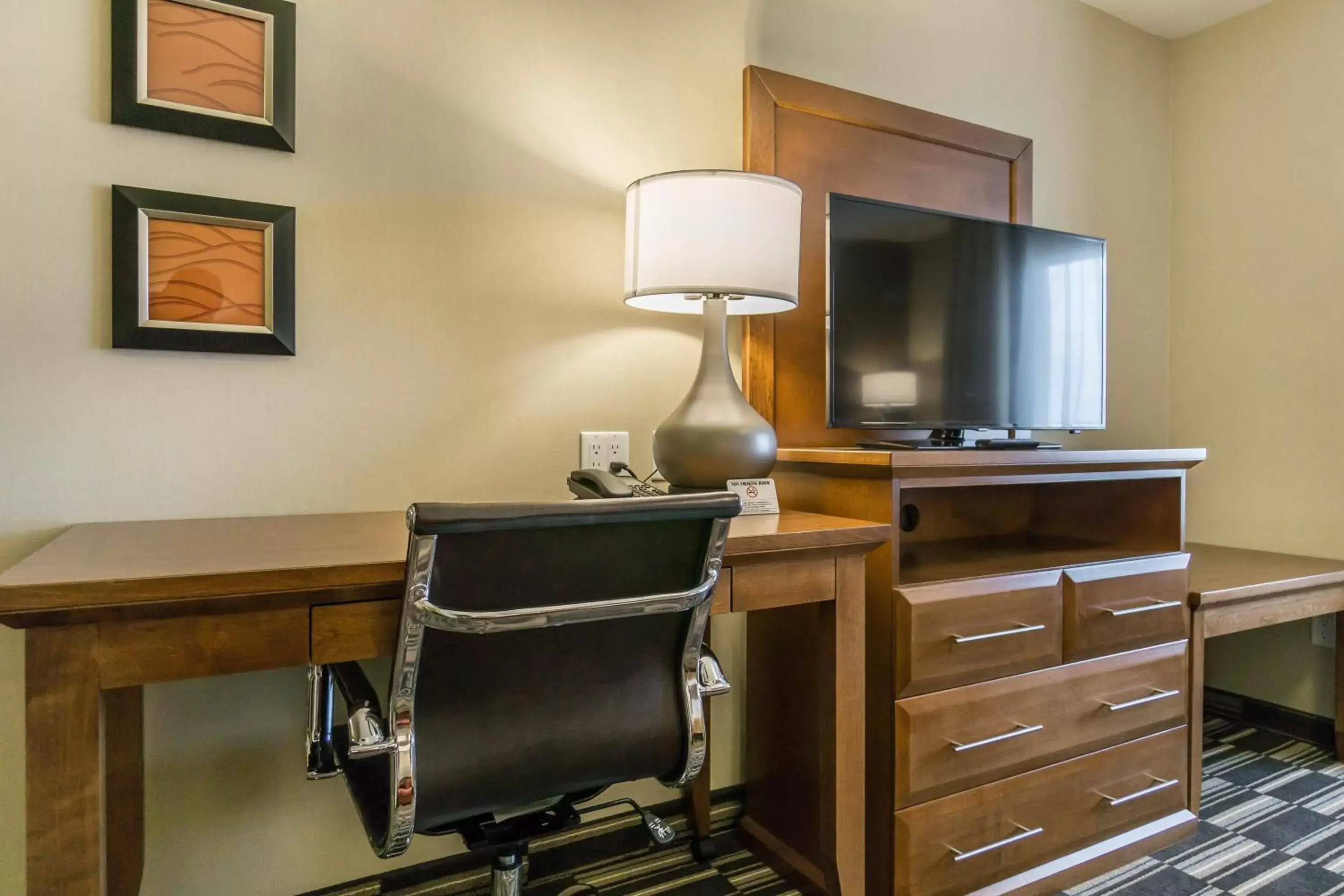 Decorative detail, TV/Entertainment Center in Comfort Inn & Suites Edmonton International Airport