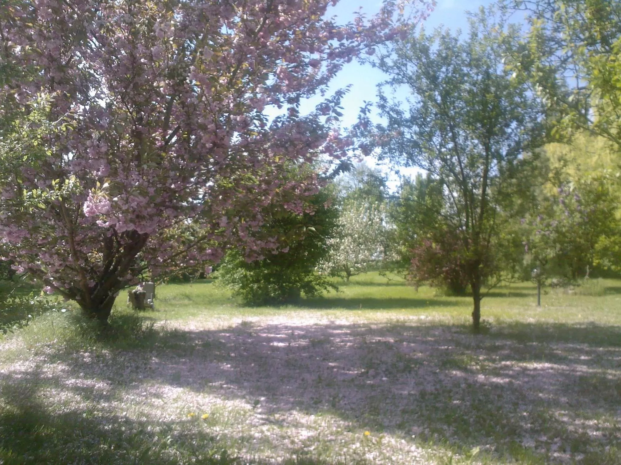 Property building in Les Rêves de Flamboin