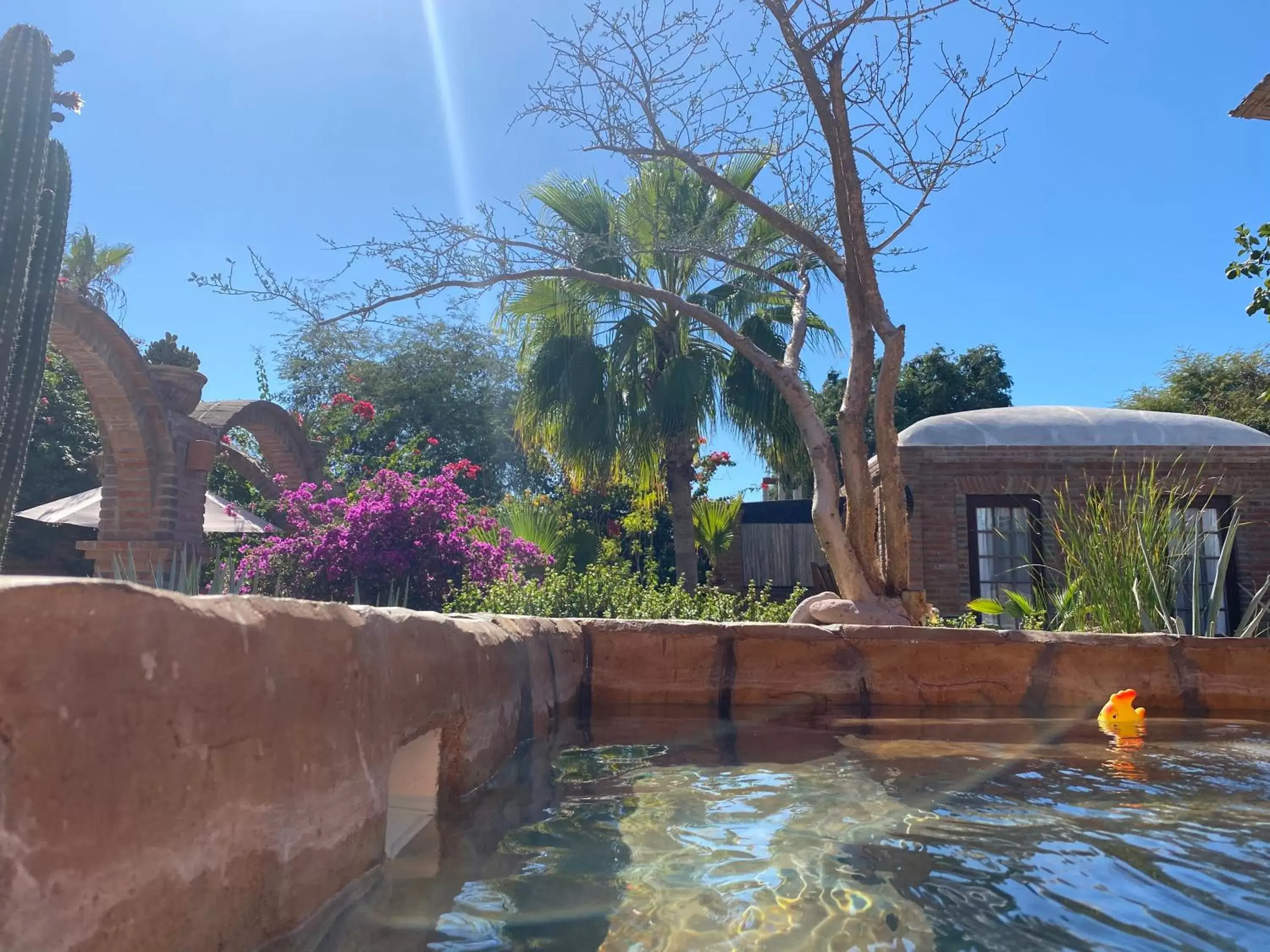 Swimming pool in Casa Xochitl