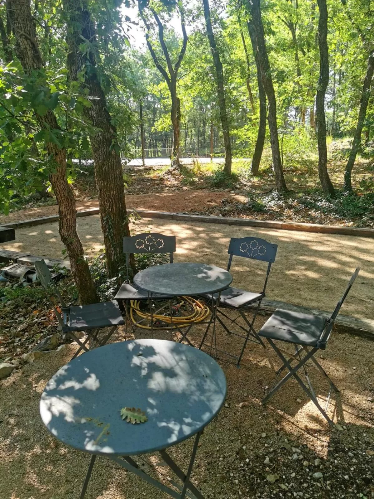 Activities in La Dryade