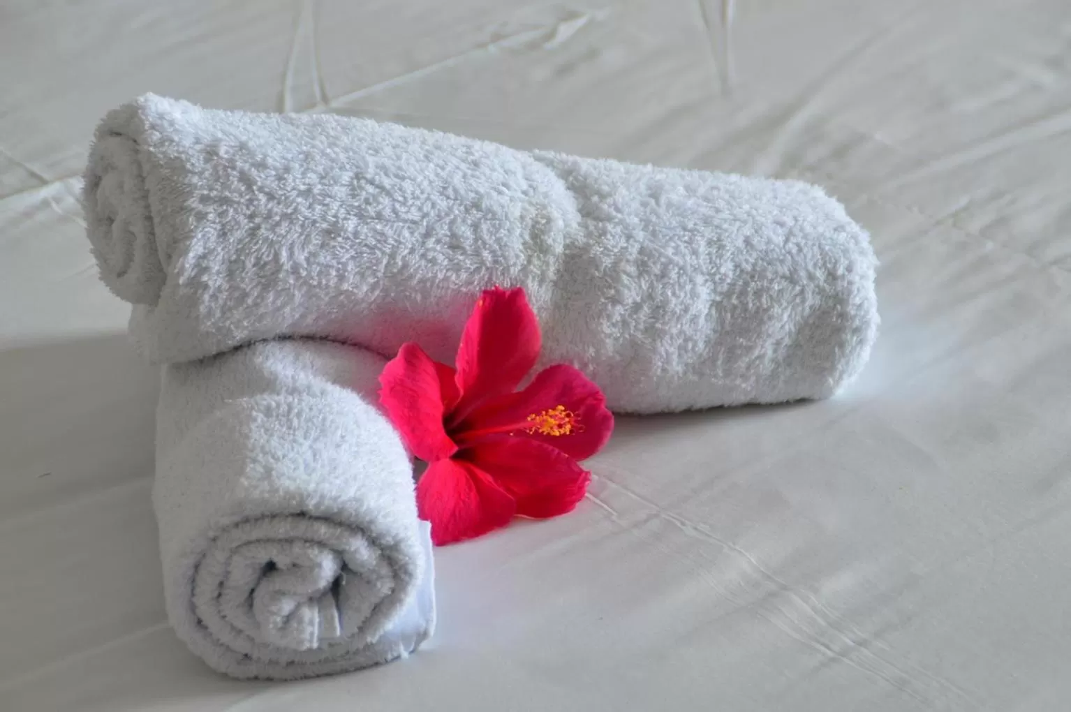 Area and facilities in Eden Resort