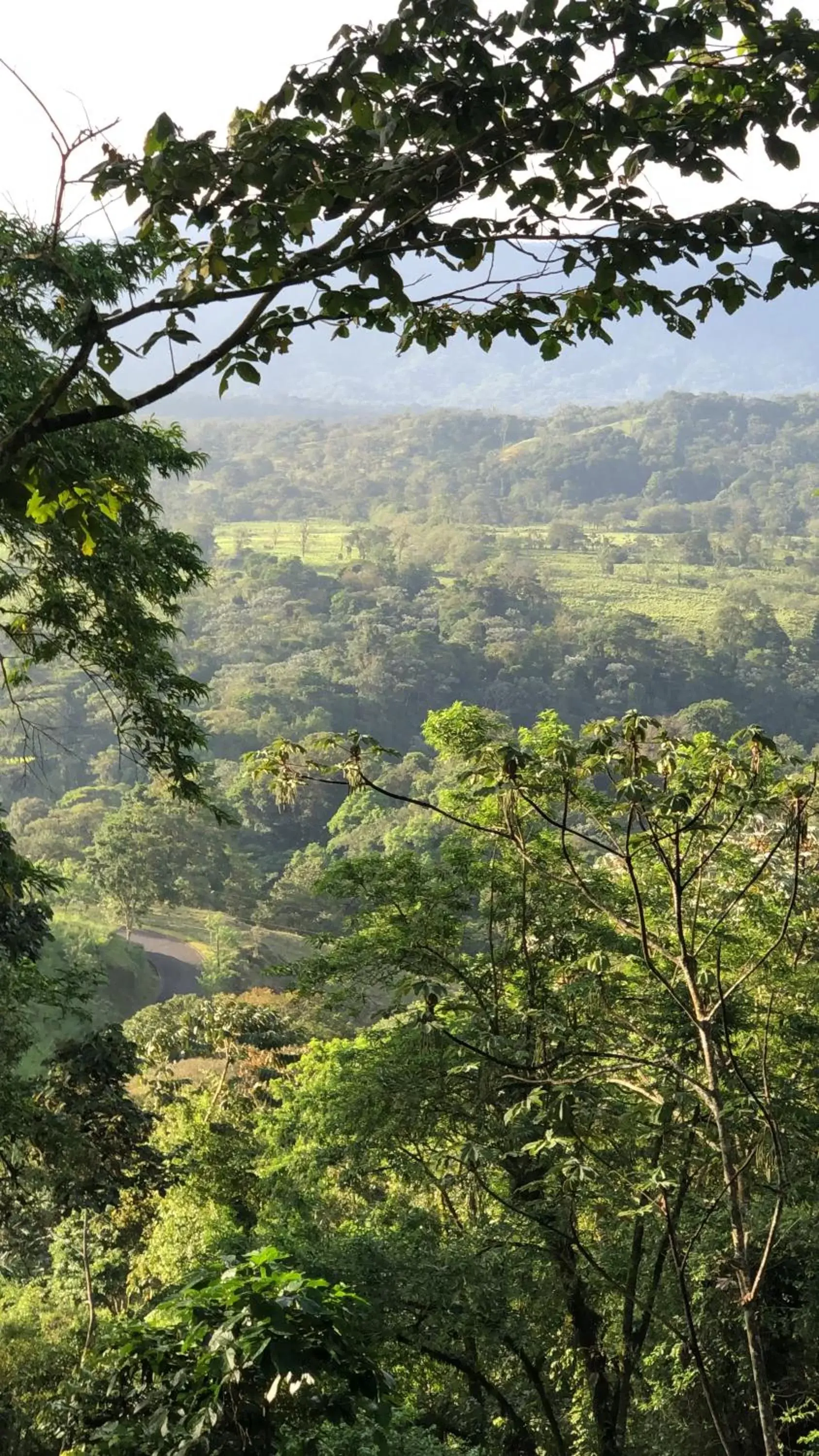 Natural landscape in Sangregado Lodge