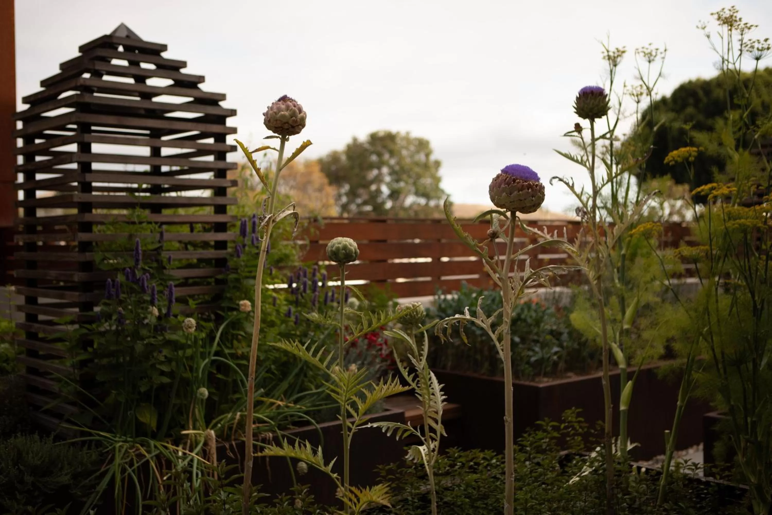 Other in HOTEL CERRO, Autograph Collection